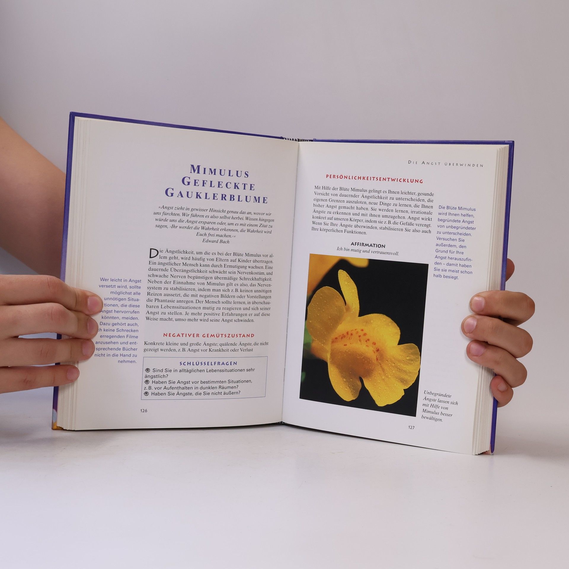 Anna Haebler Die richtige Bach-Blüte für jedes Mondzeichen