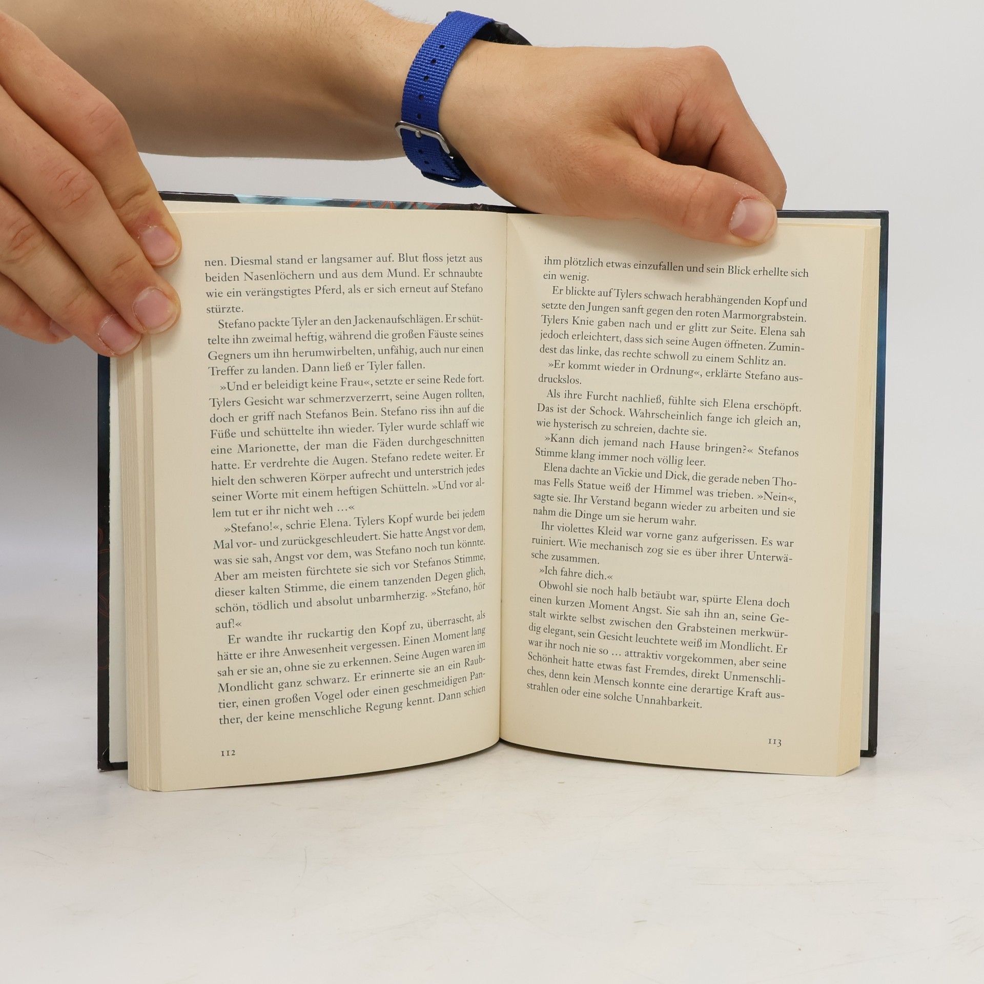 L. J. Smithová  Tagebuch eines Vampirs 1. Im Zwielicht
