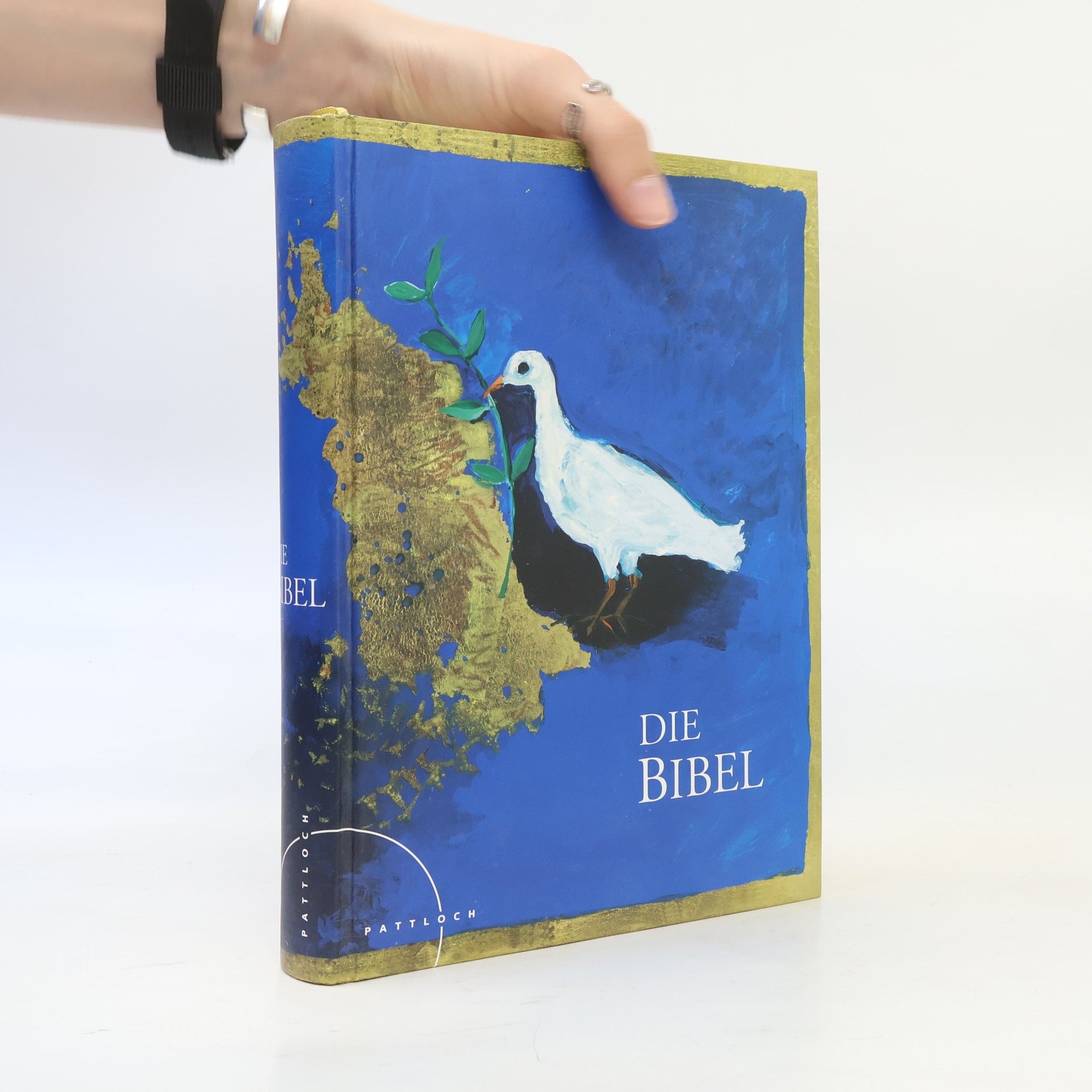 Rosina Wachtmeister Die Bibel