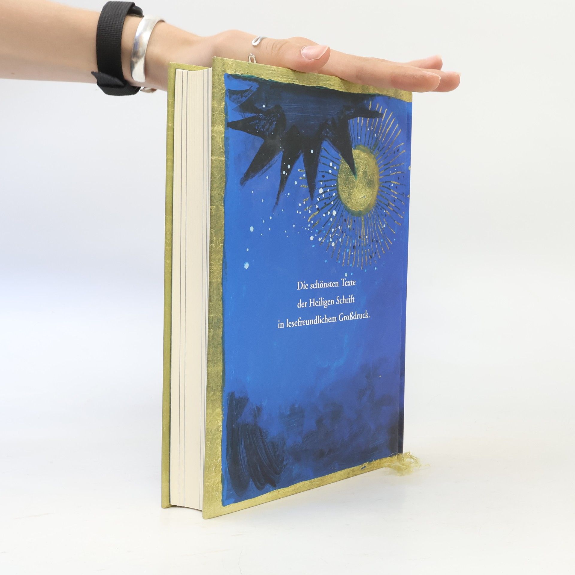 Bernhard Meuser Die Bibel