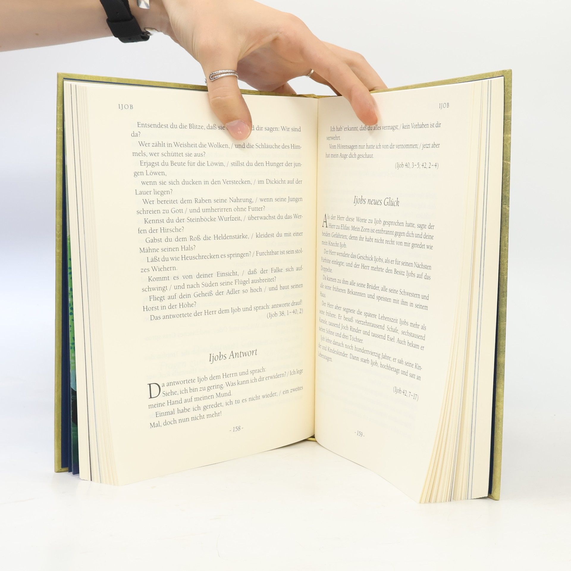 Bernhard Meuser Die Bibel