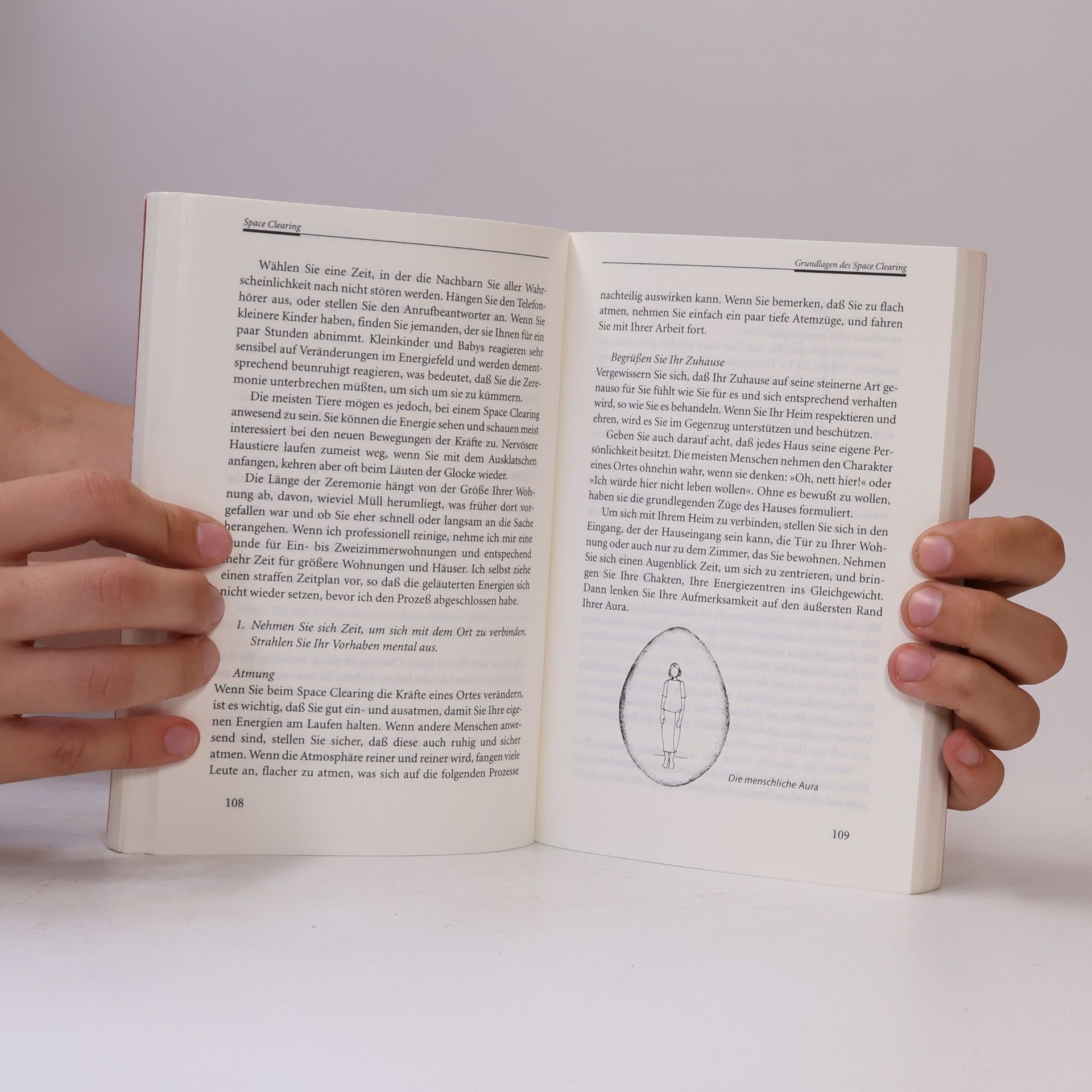 Karen Kingston Heilige Orte erschaffen mit Feng Shui
