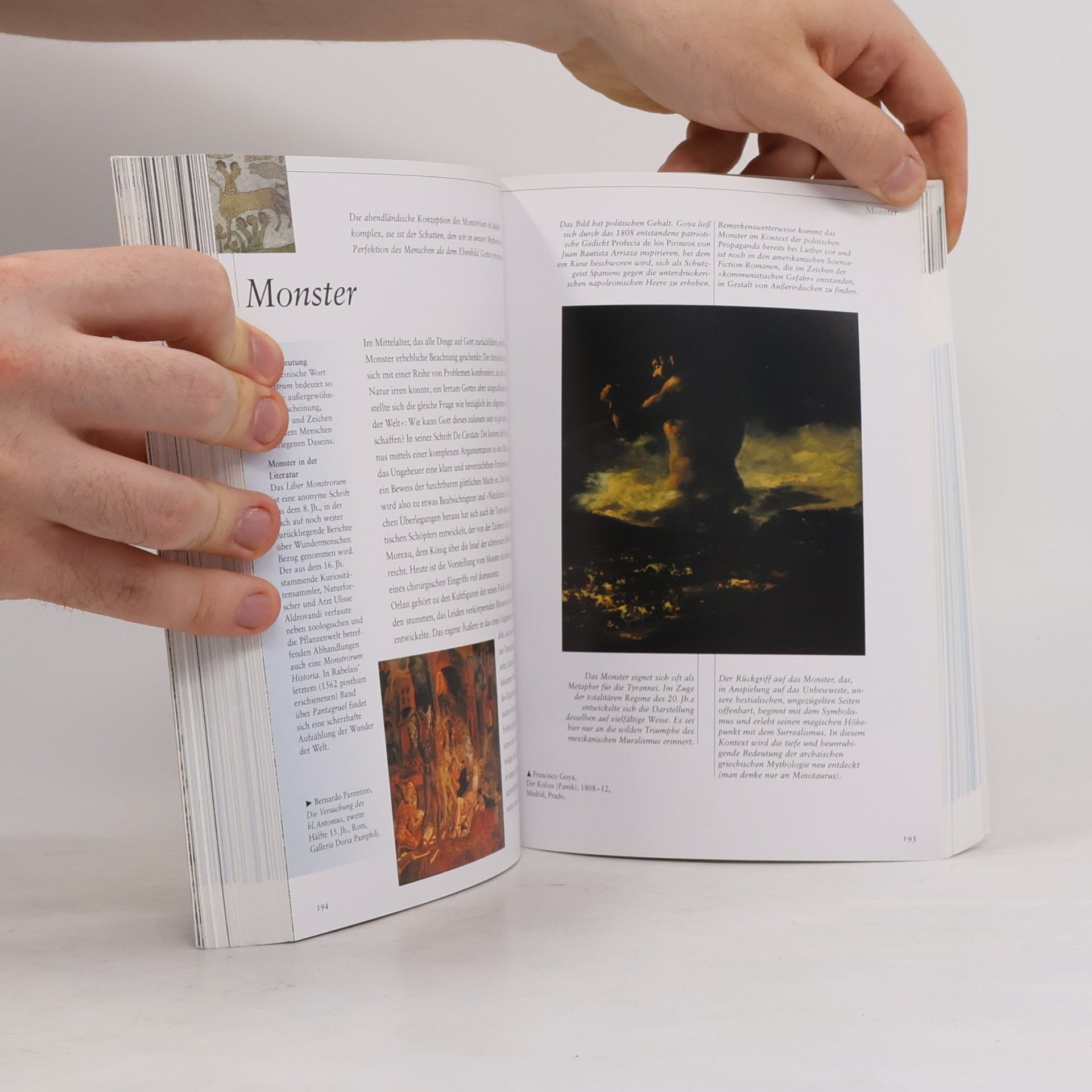 Francesca Pellegrino Geografie und imaginäre Welten