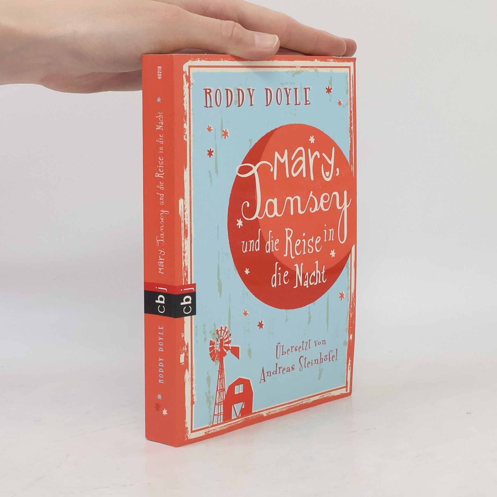 Roddy Doyle Mary, Tansey und die Reise durch die Nacht