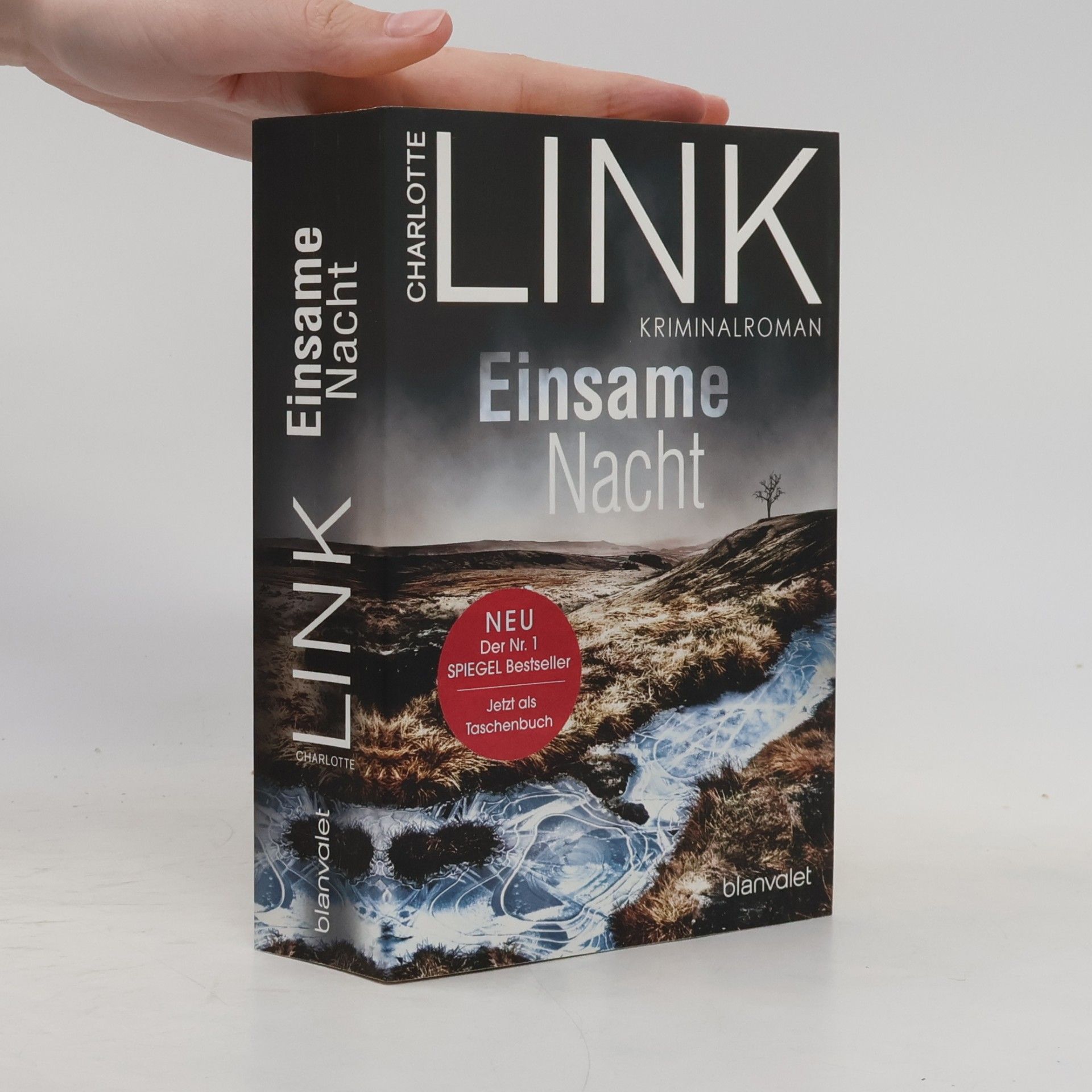 Charlotte Link Einsame Nacht