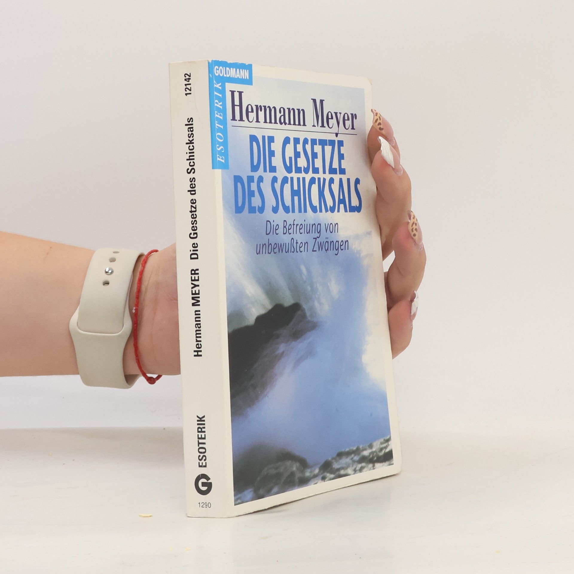 Herman Meyer Die Gesetze des Schicksals