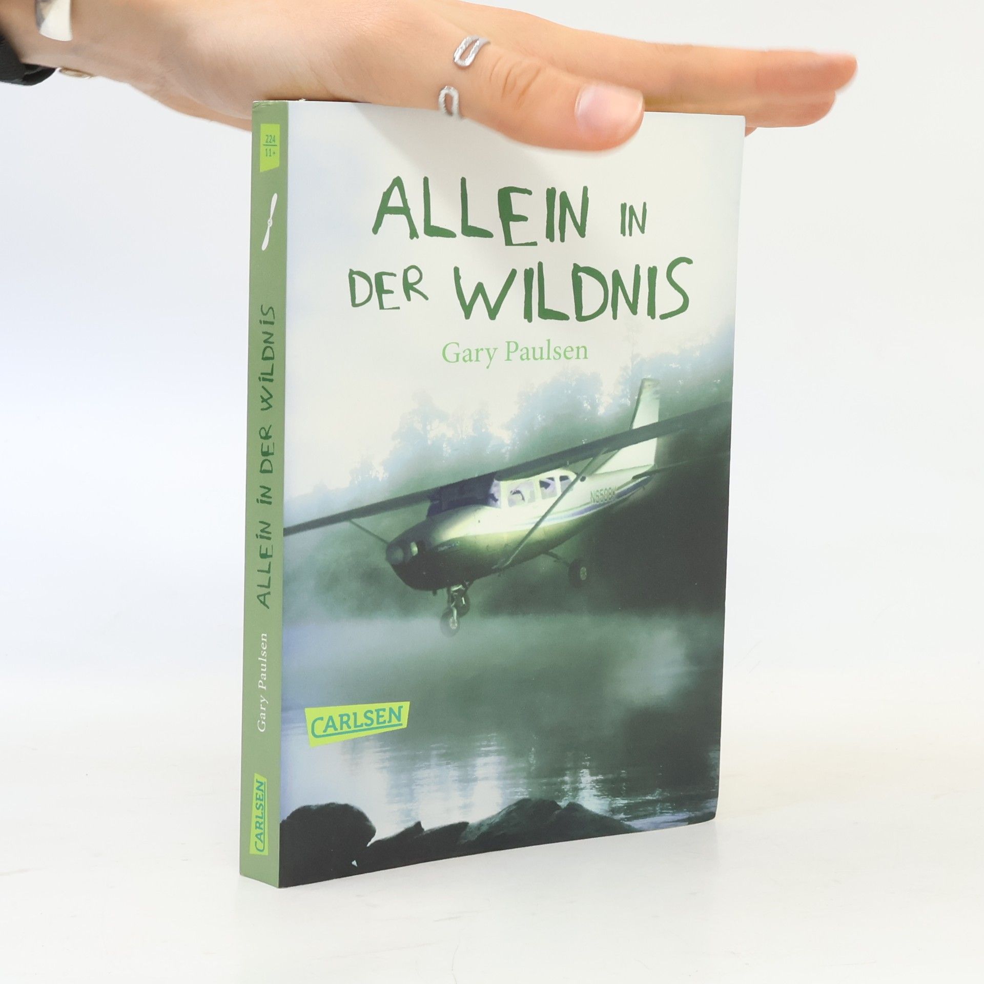Gary Paulsen Allein in der Wildnis