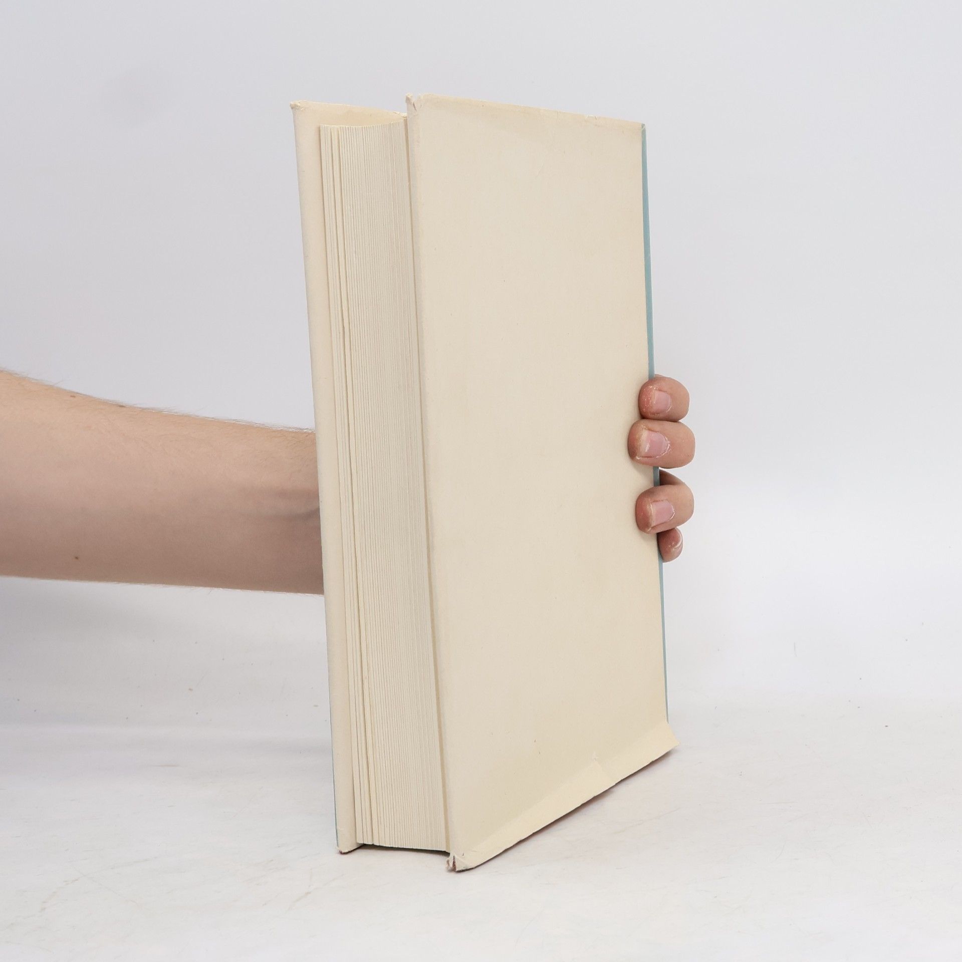 Karl Ginhart Wiener Kunstgeschichte