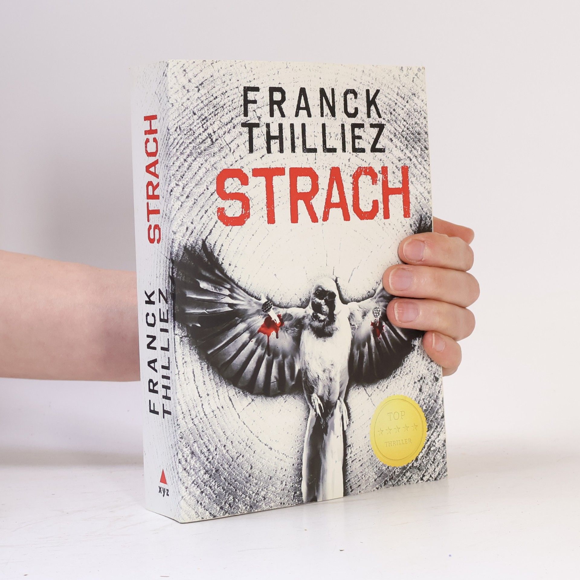 Franck Thilliez Strach