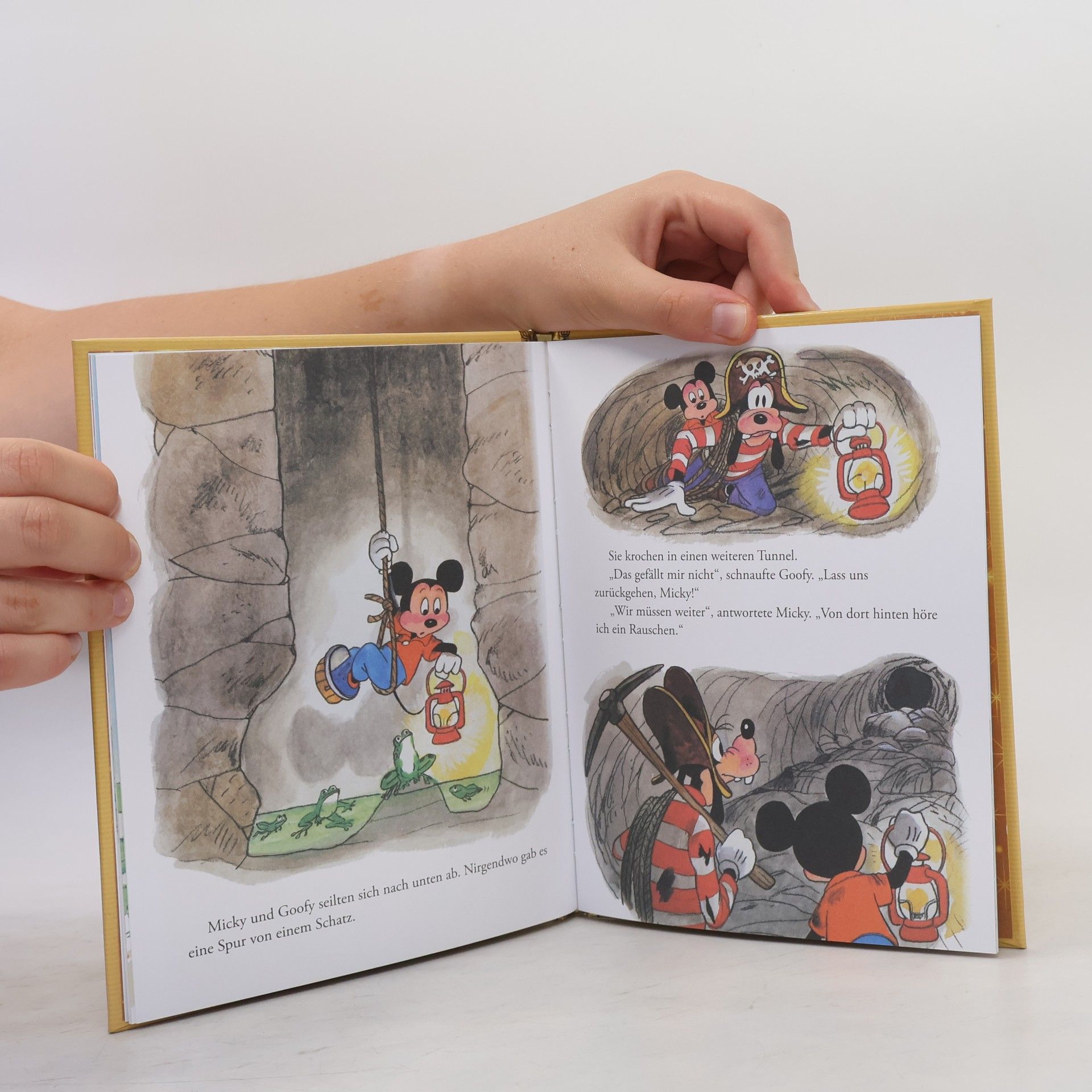 Autorenkollektiv Goofy und der Piratenschatz