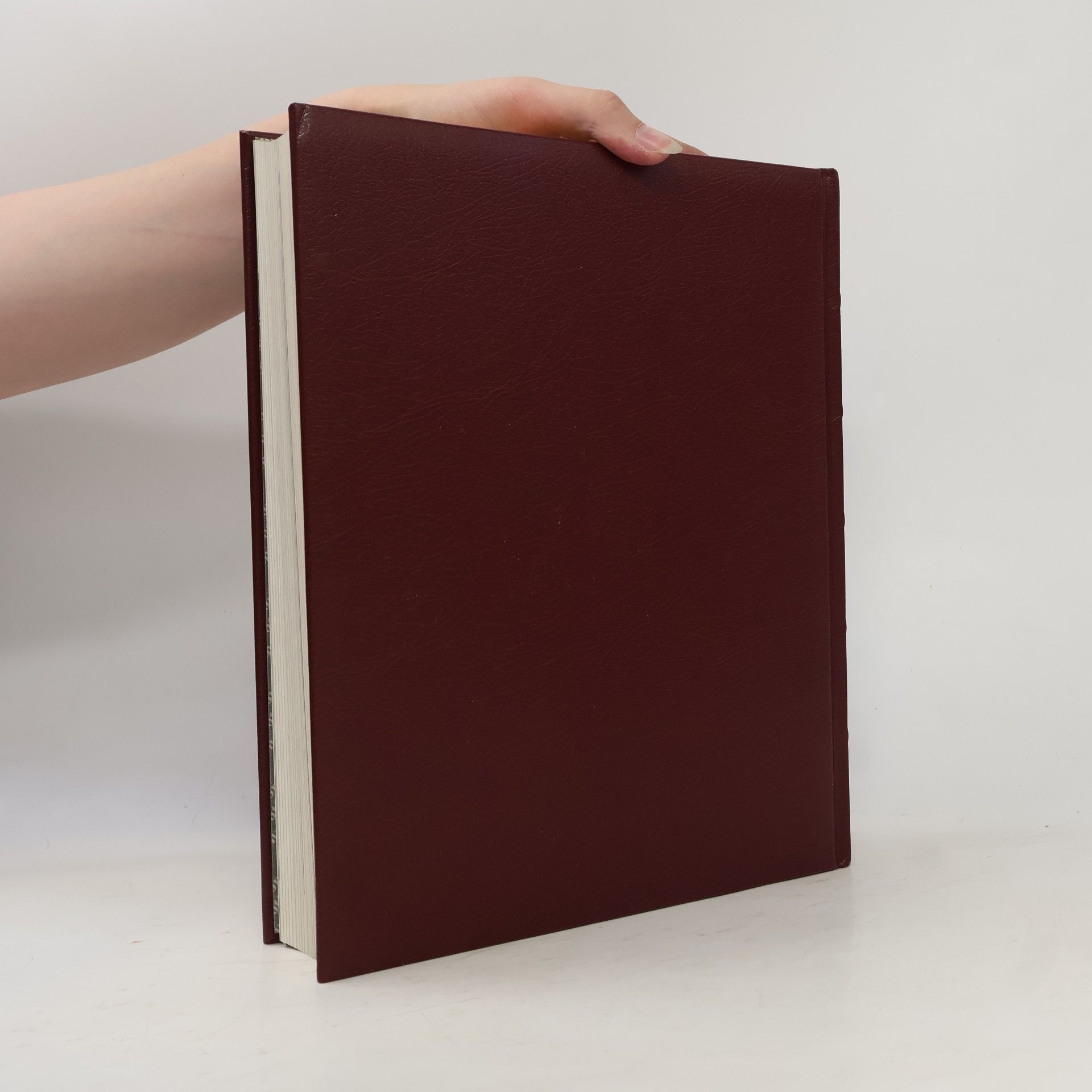 Autorenkollektiv Chronik-Bibliothek des 20. Jahrhunderts.