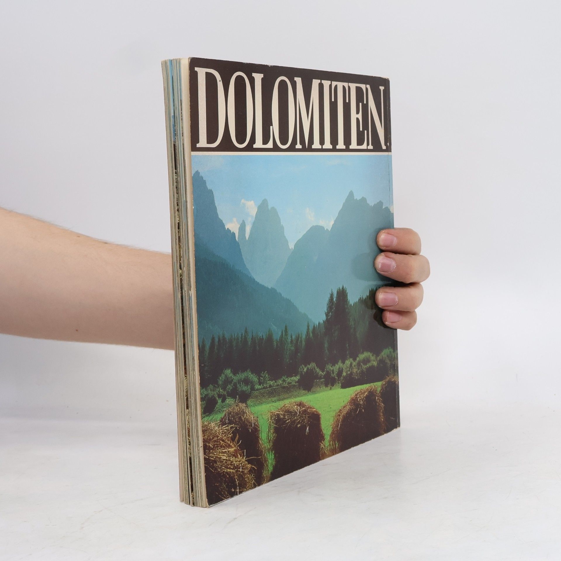 Roberto Donati Die Dolomiten