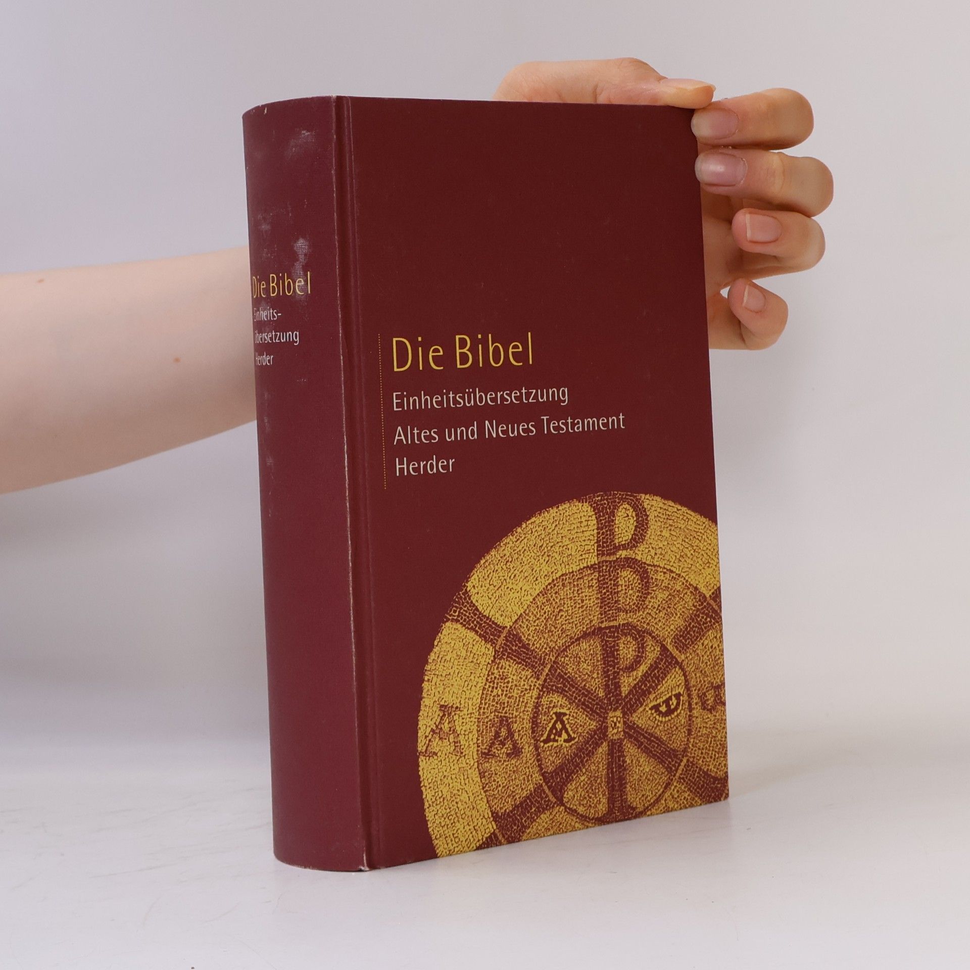 Kolektiv autorů Die Bibel