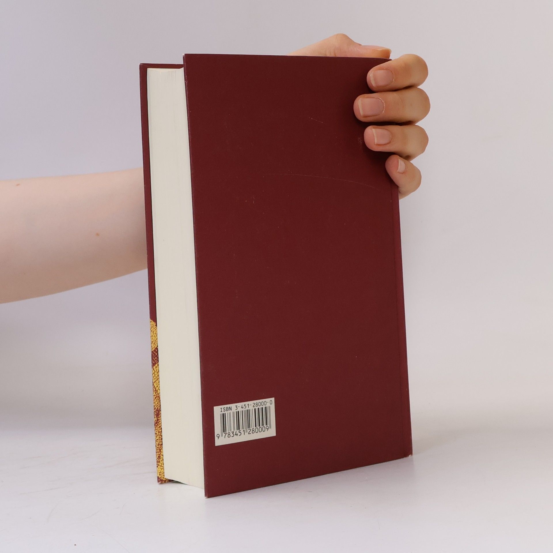 Kolektiv autorů Die Bibel