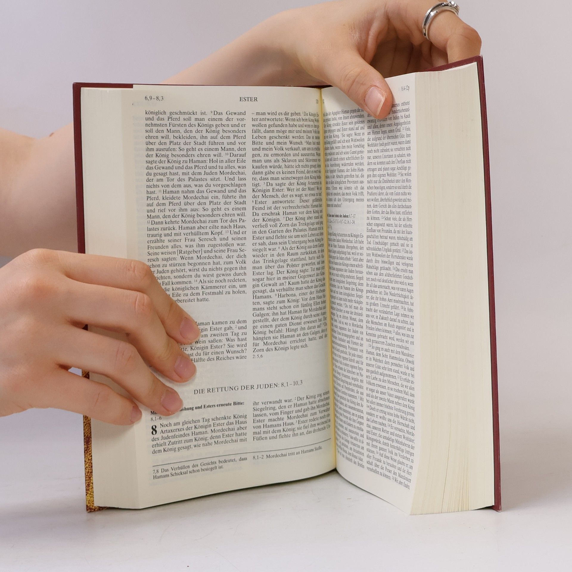 Kolektiv autorů Die Bibel