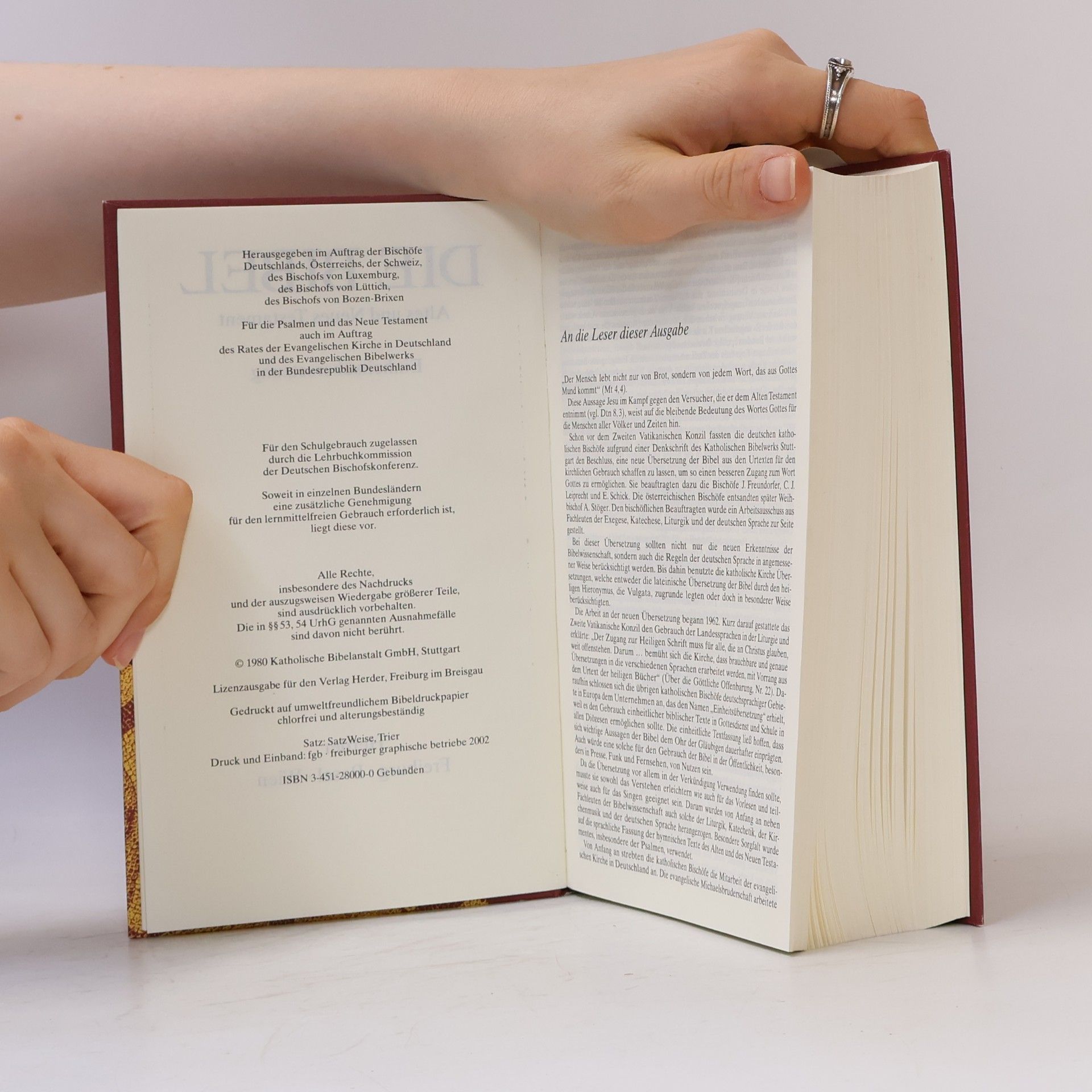 Kolektiv autorů Die Bibel