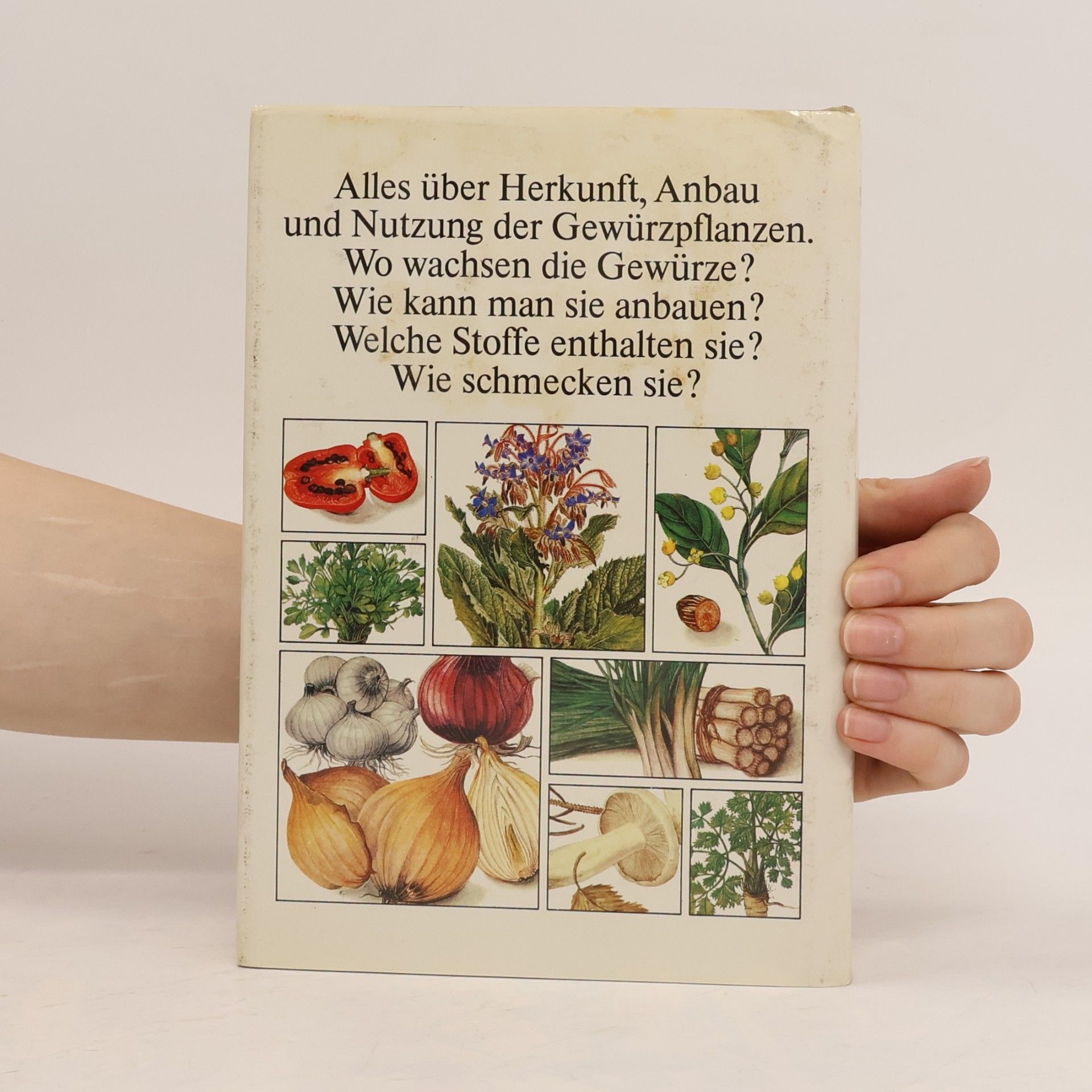 Lucián Wichs Lexikon der Küchen und Gewürzkräuter