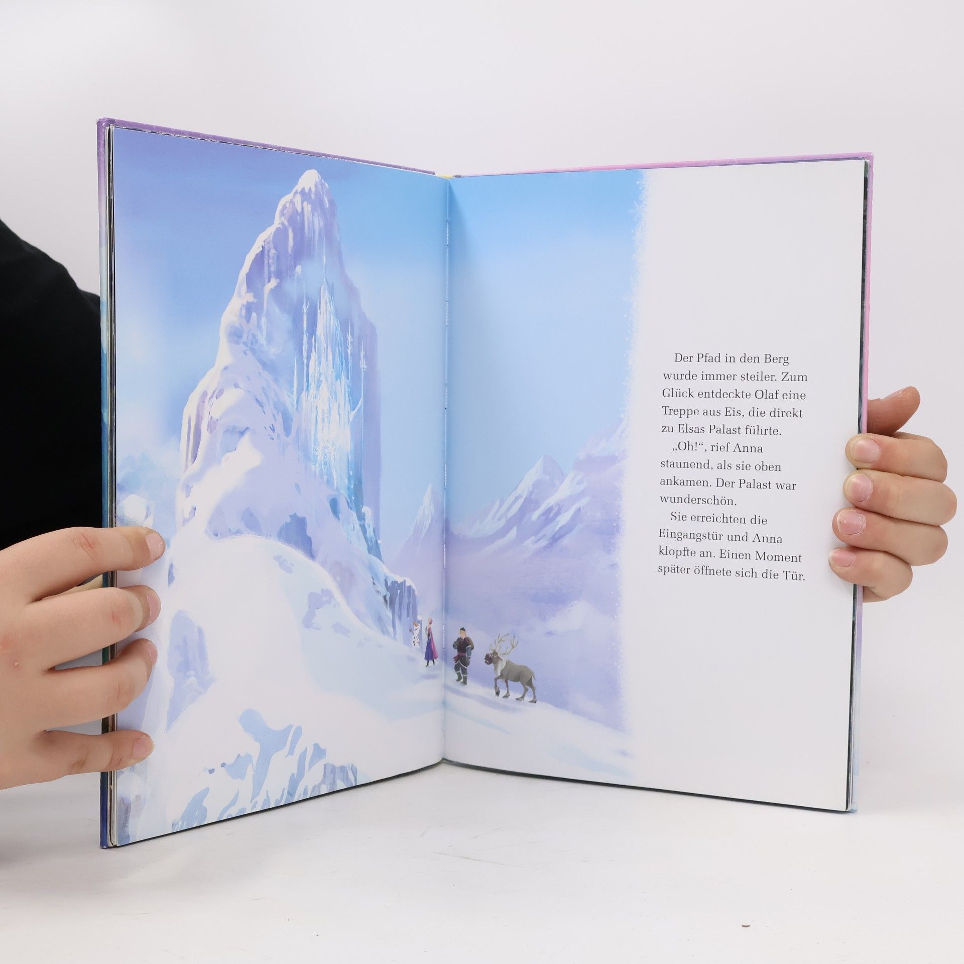 Autorenkollektiv Die Eiskönigin