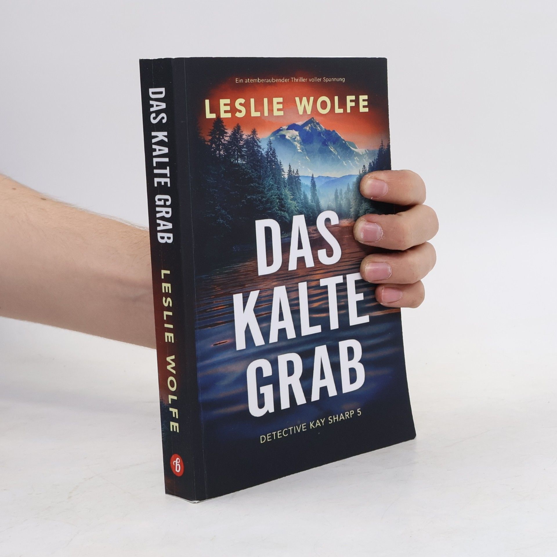 Detective Kay Sharp - 5: Das kalte Grab