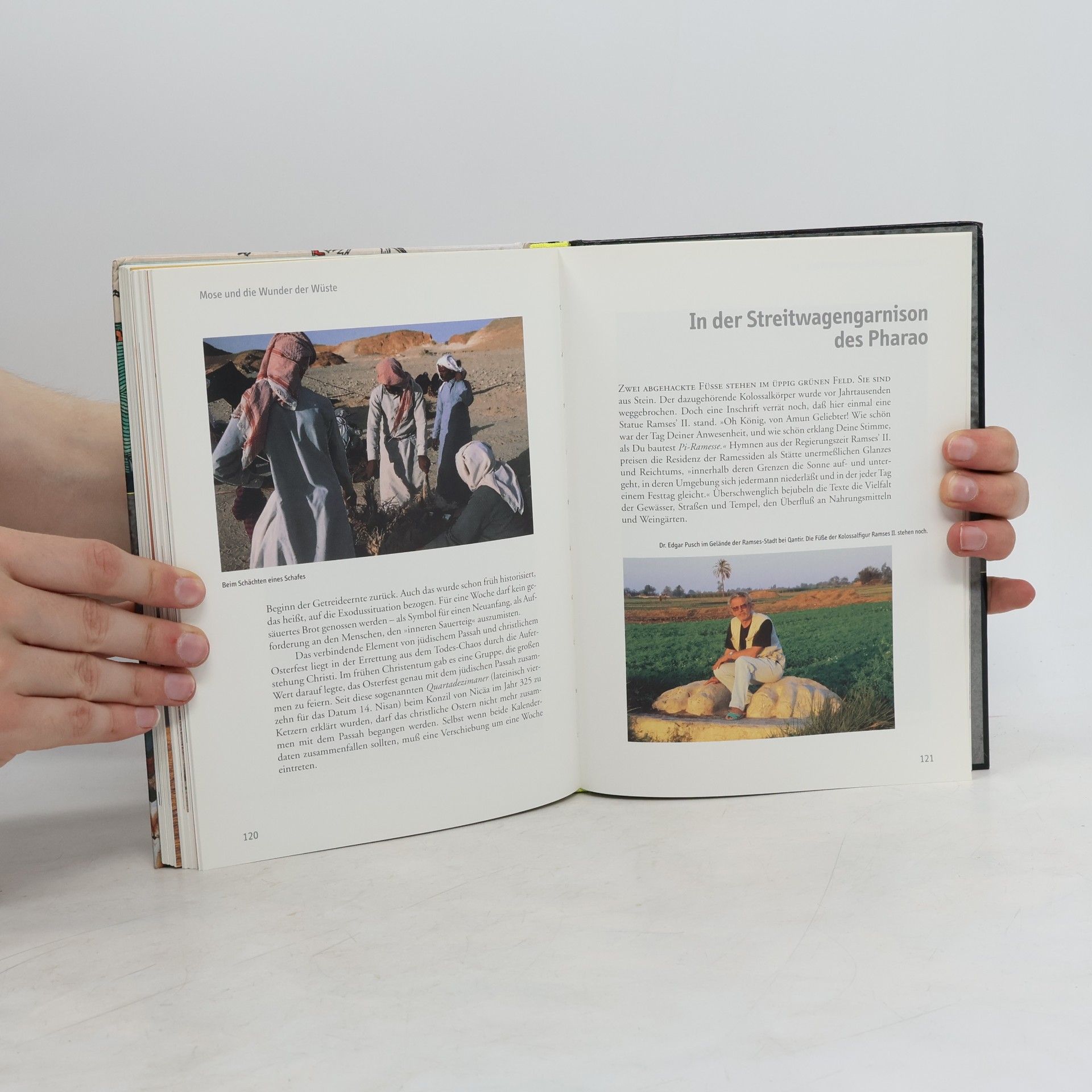 Various authors Terra X. Die Sintflut kam Punkt 12 Uhr 10. Mose und die Wunder der Wüste