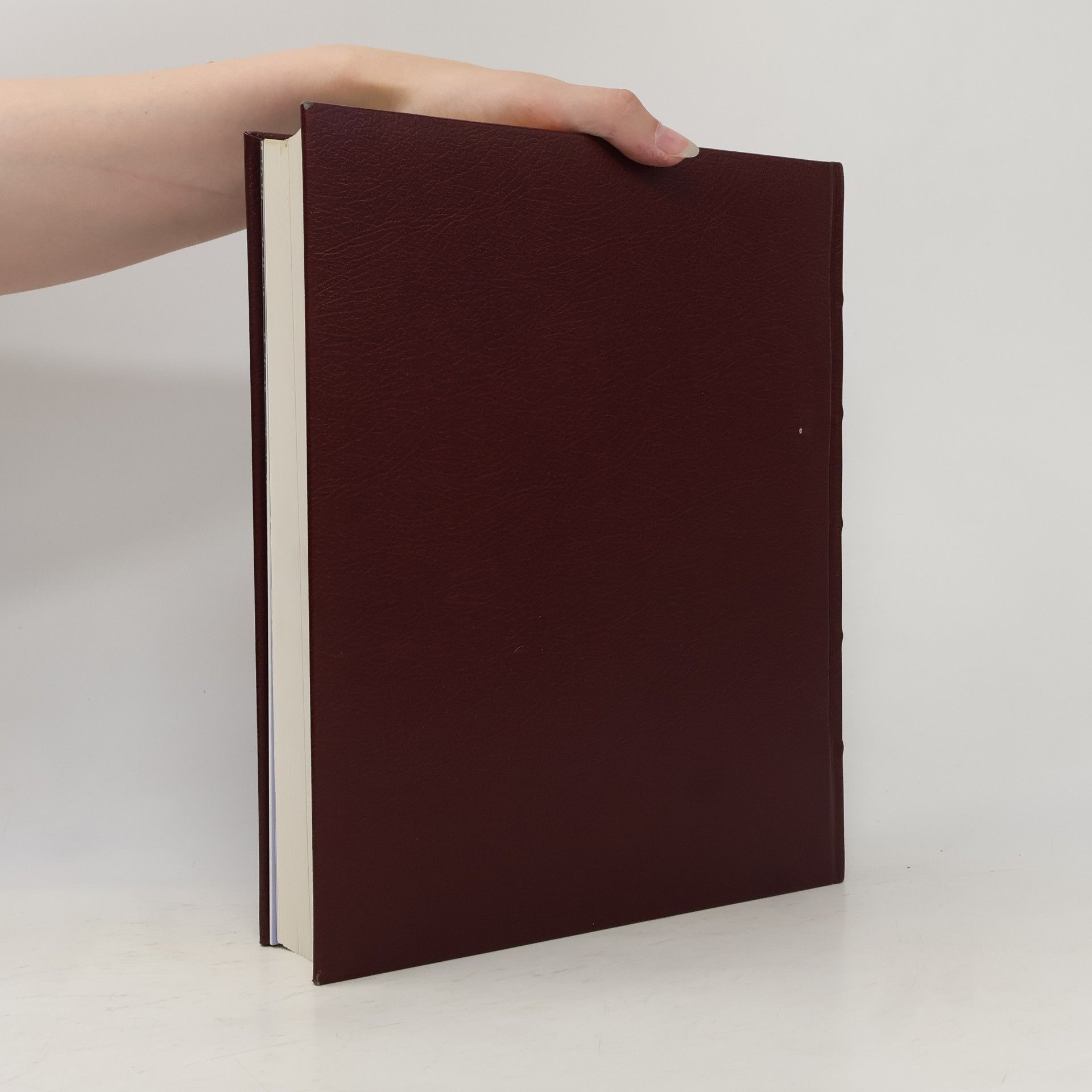 Various authors Chronik. Bibliothek des Jahrhunderts 2001