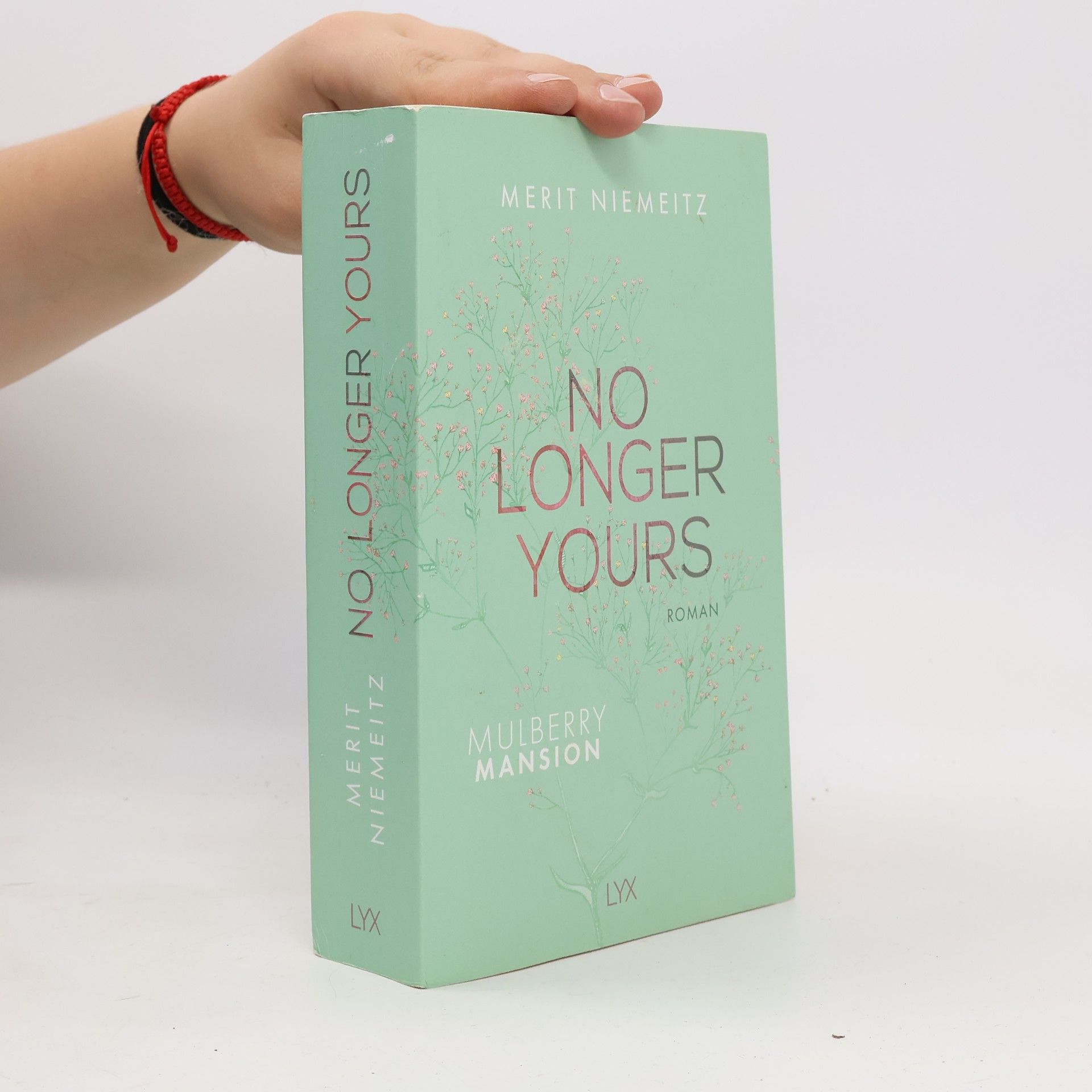 Merit Niemeitz No Longer Yours