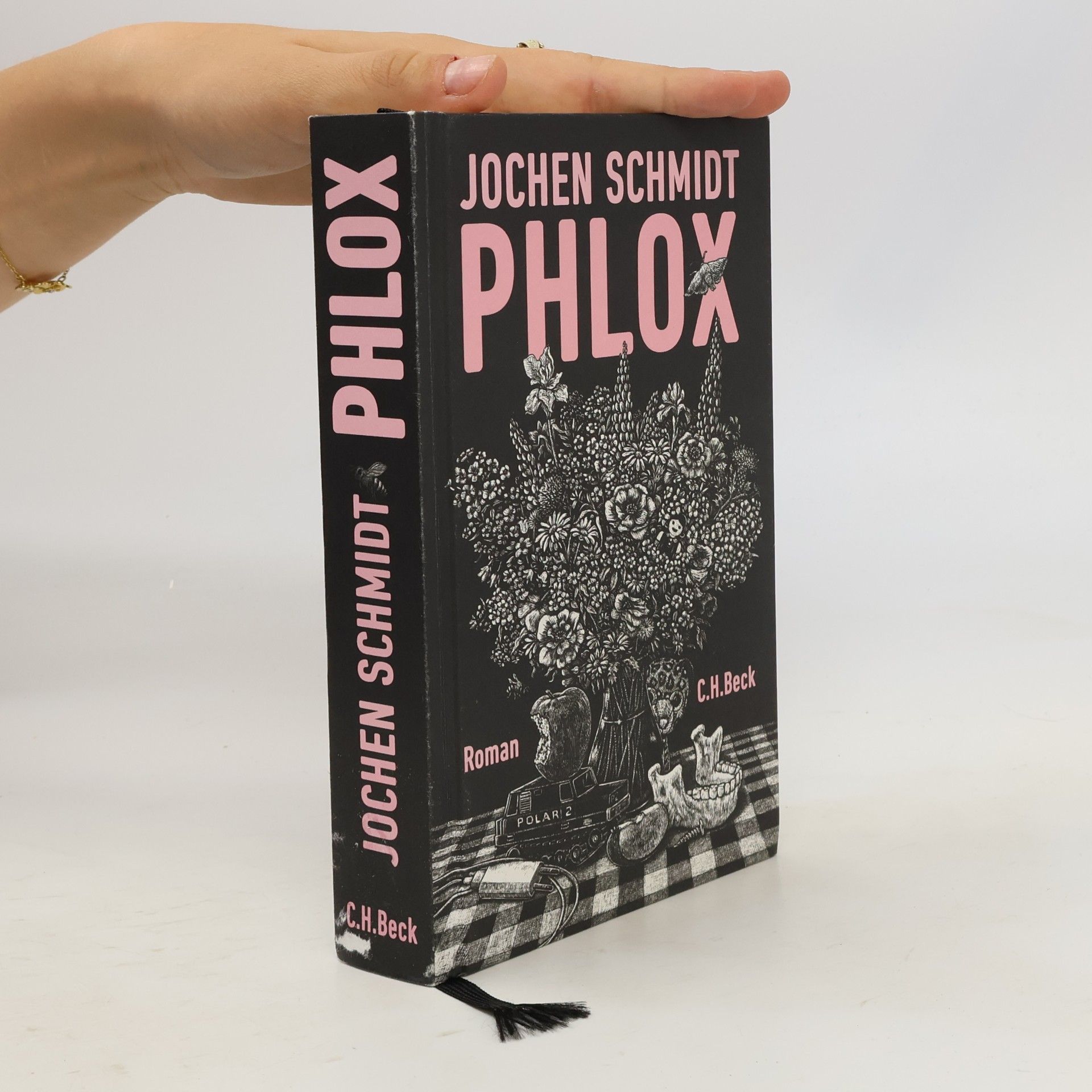 Phlox