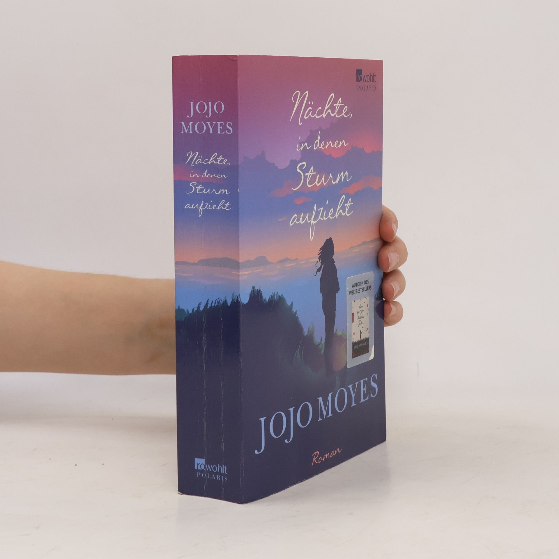 Jojo Moyes Nächte in denen Sturm aufzieht