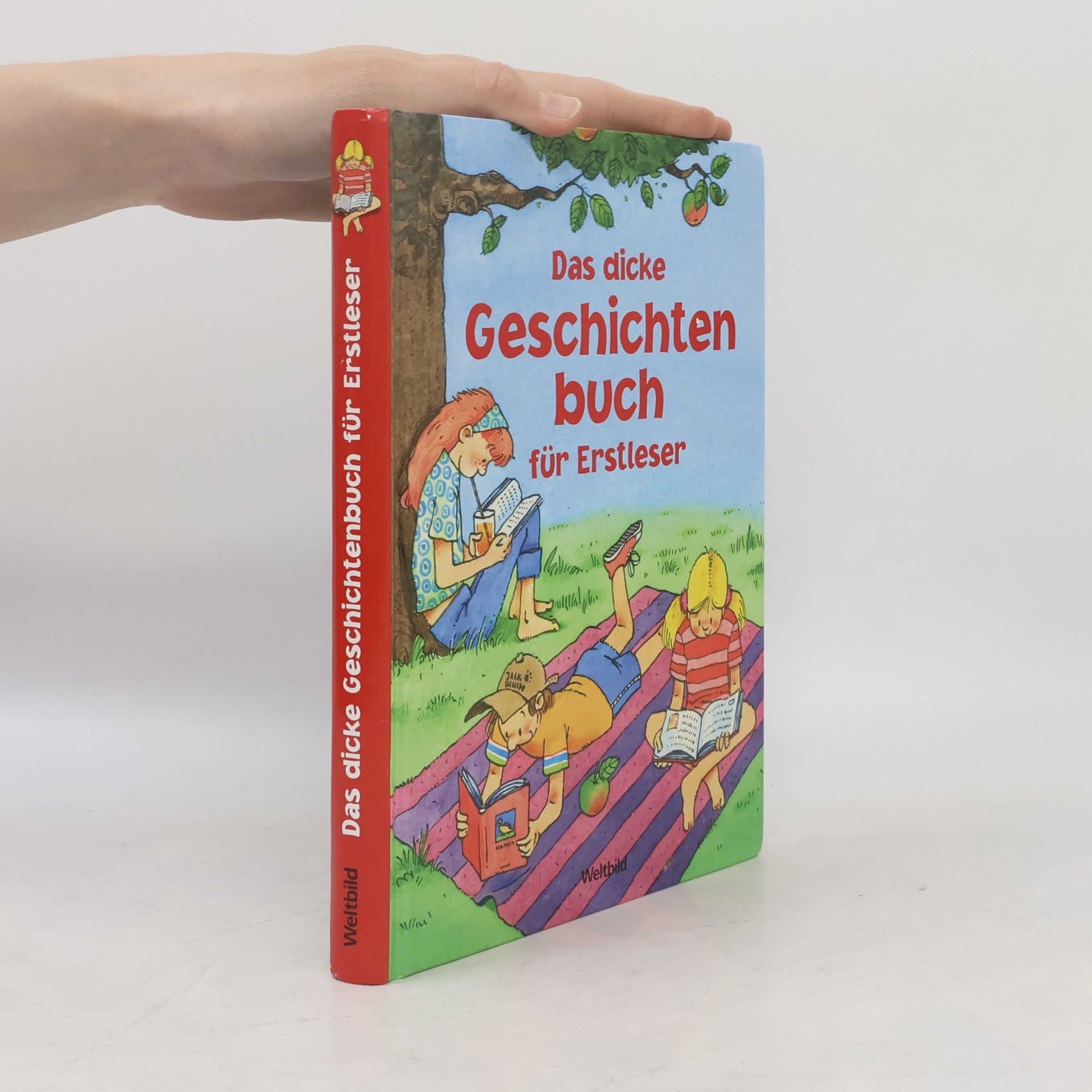 Various authors Das dicke Geschichtenbuch für Erstleser