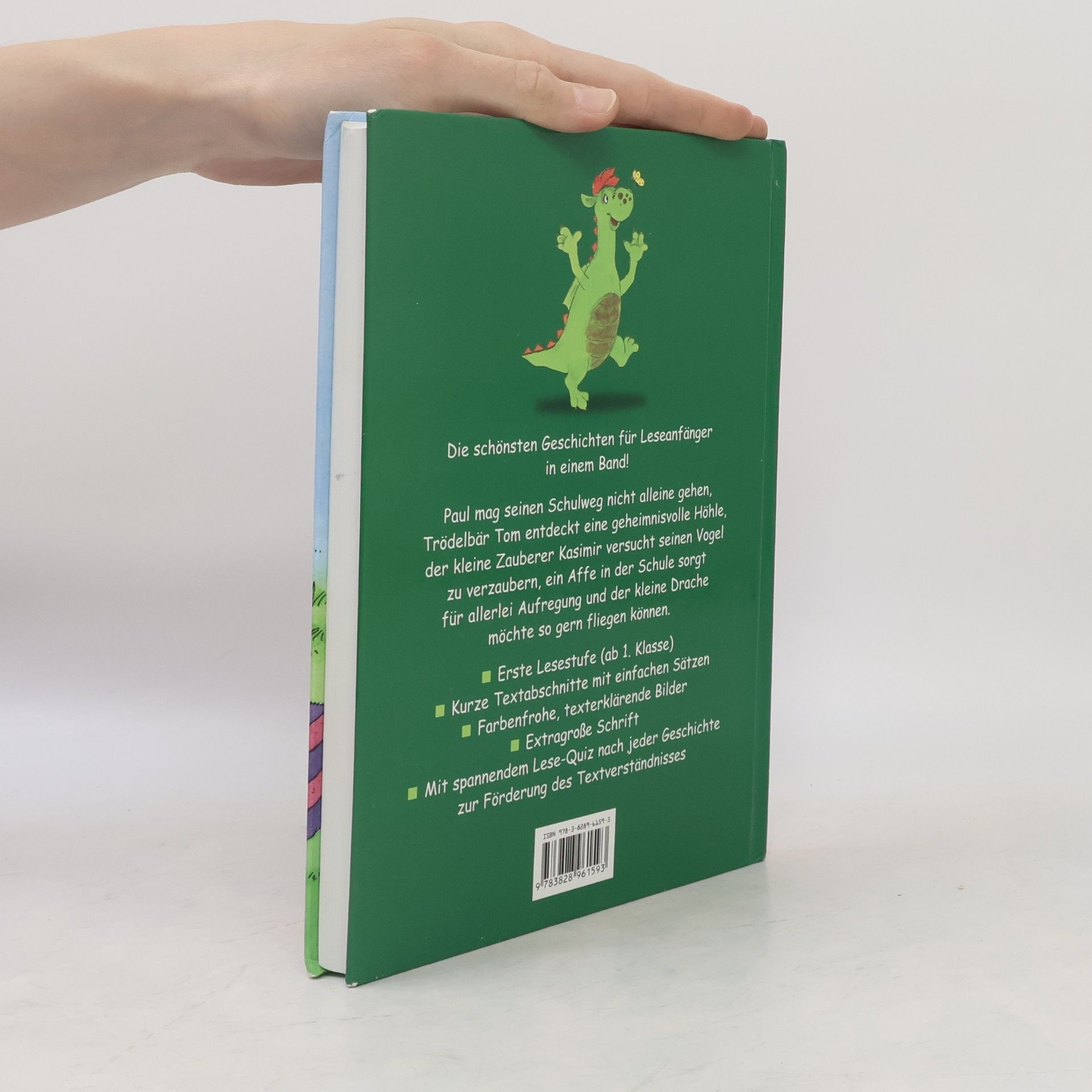 Das dicke Geschichtenbuch für Erstleser