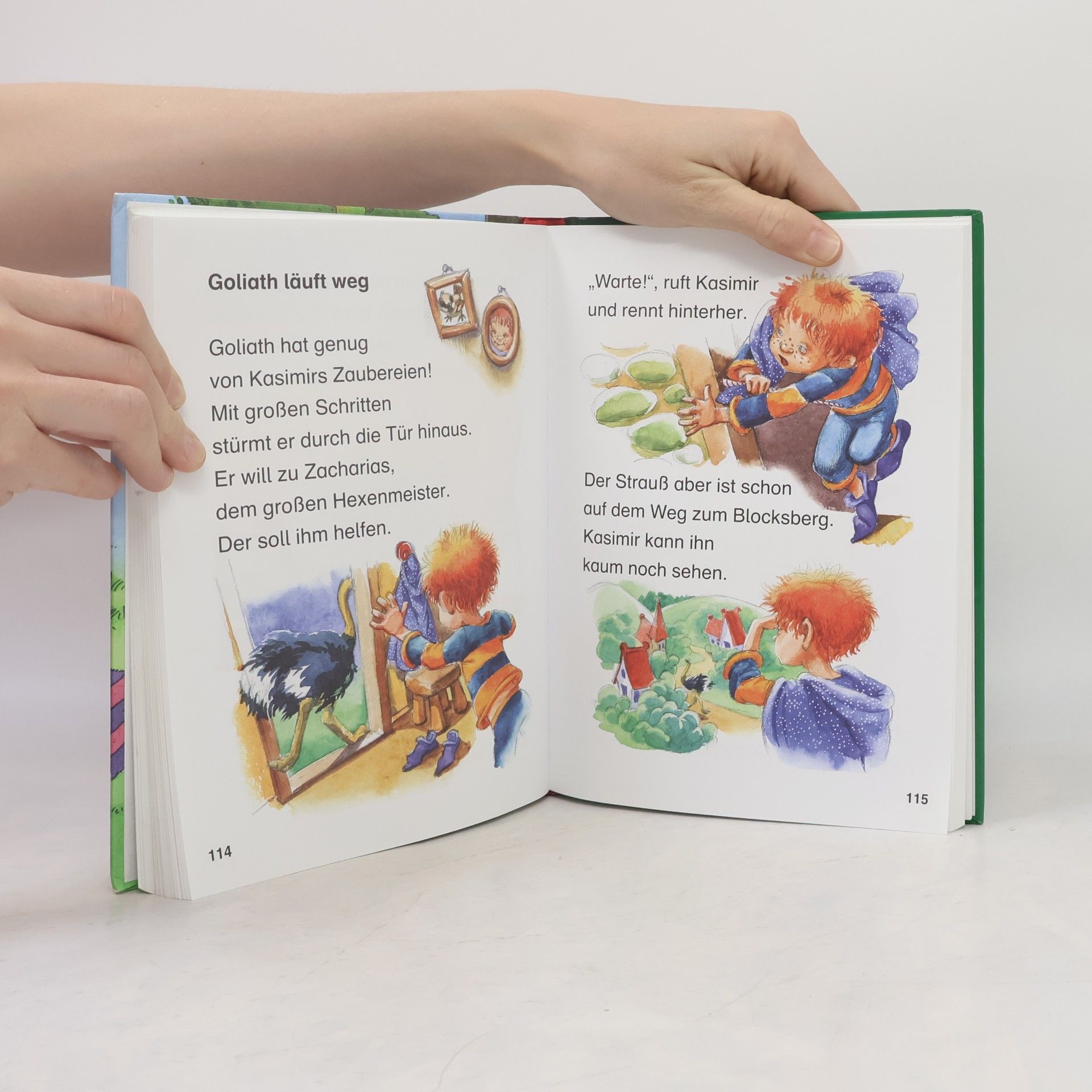 Das dicke Geschichtenbuch für Erstleser