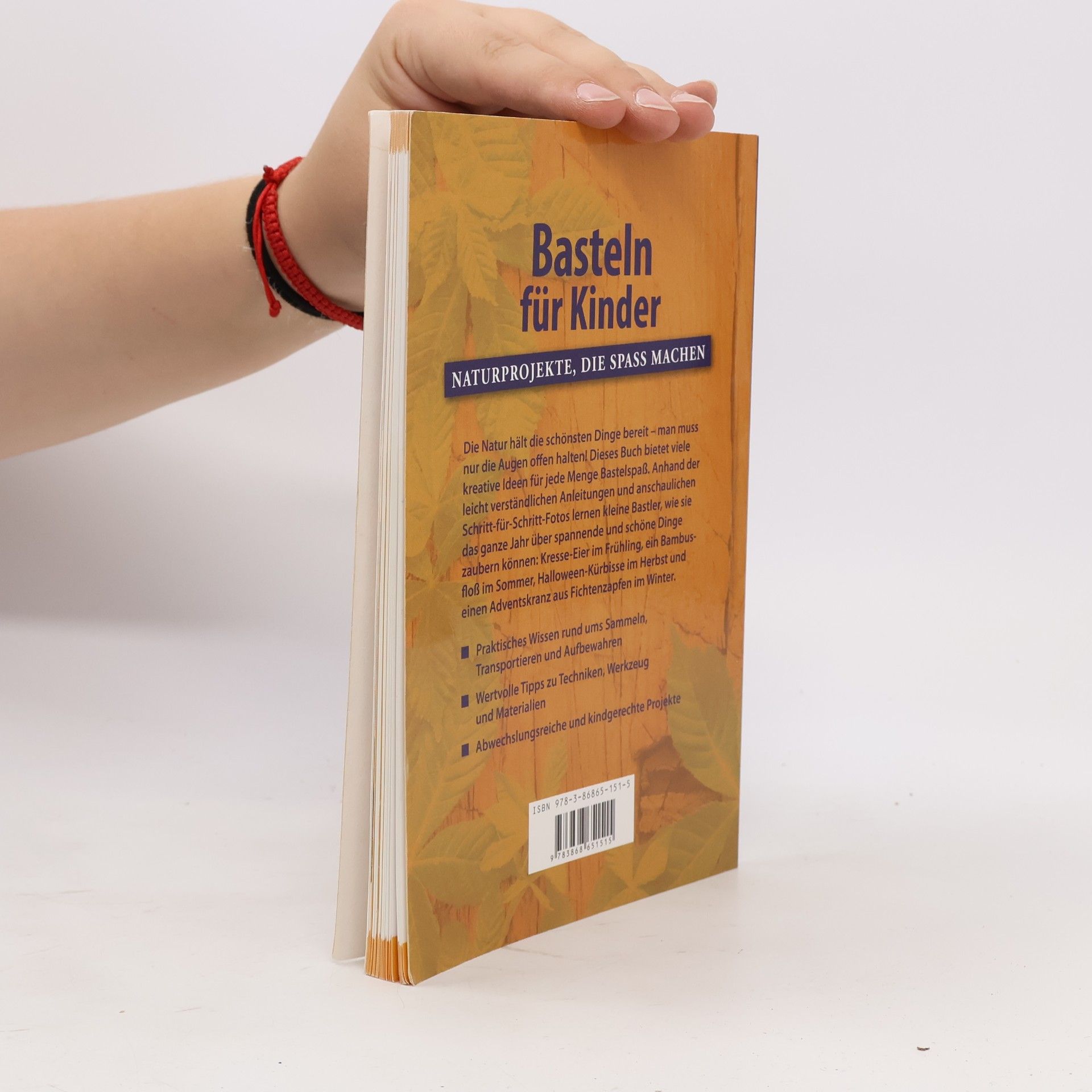 Autorenkollektiv Basteln für Kinder