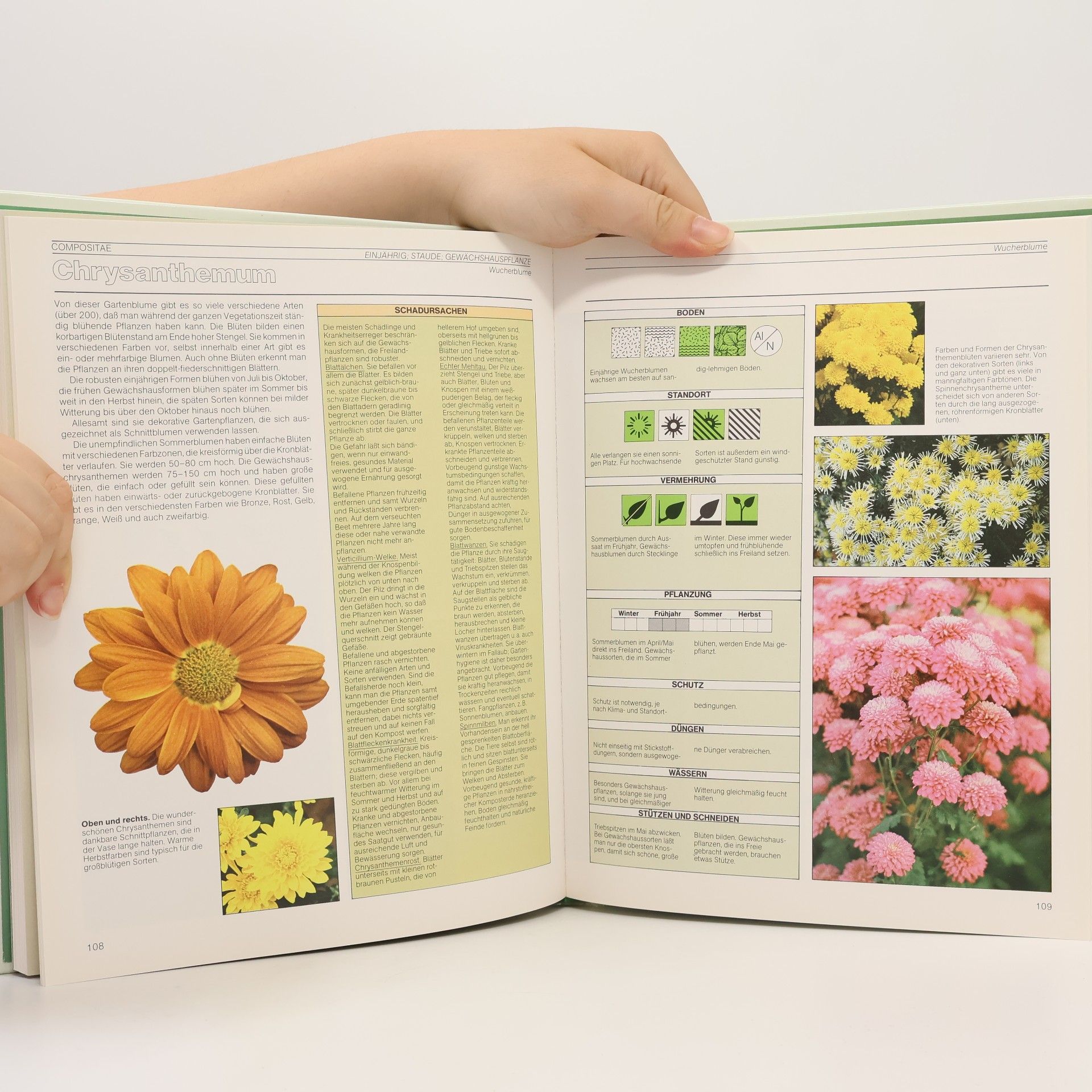 Ann Bonar Der Gartenpflanzendoktor