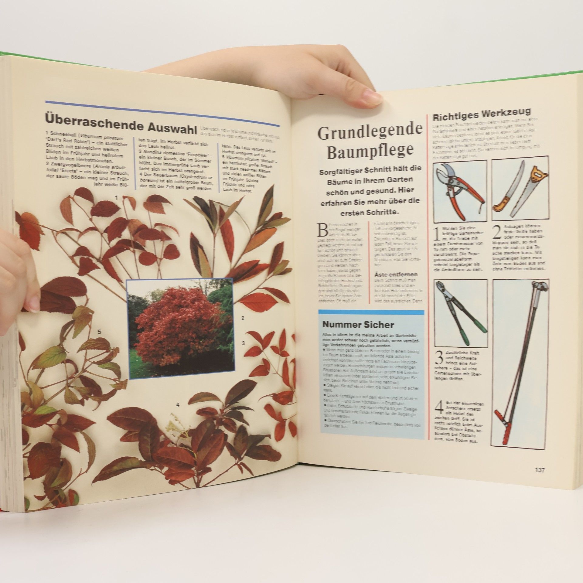 Gabriele Michael Das grosse Buch vom Garten