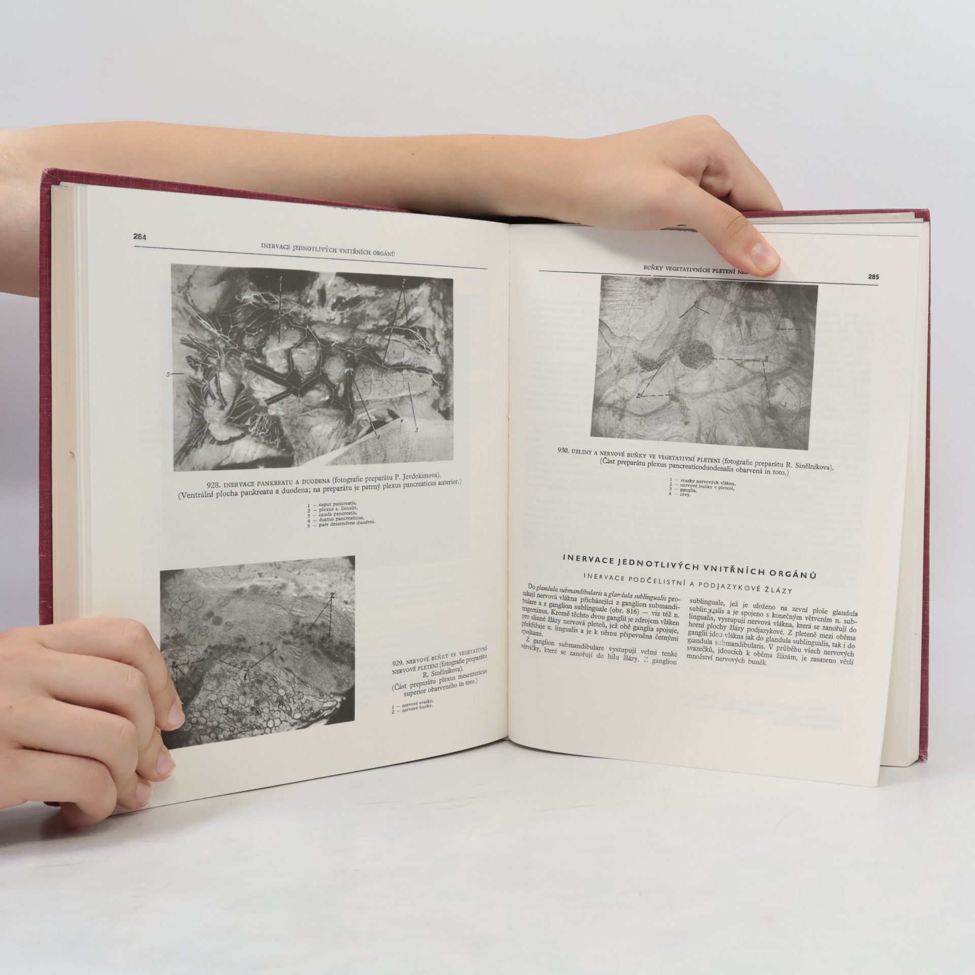 Rafail Davidovič Sinělnikov Atlas anatomie člověka III
