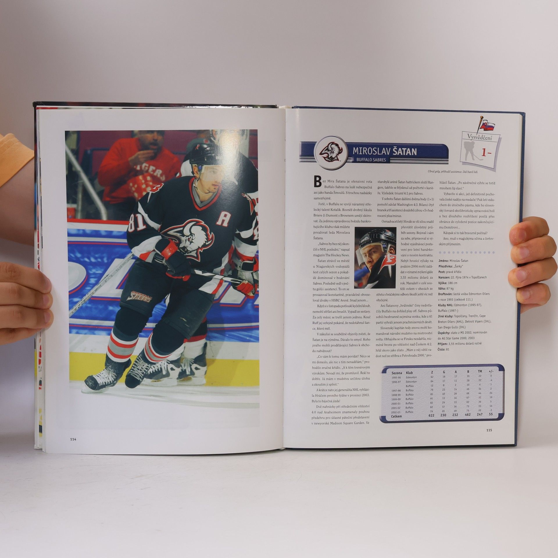 Kolektív autorov Hvězdy NHL 2004