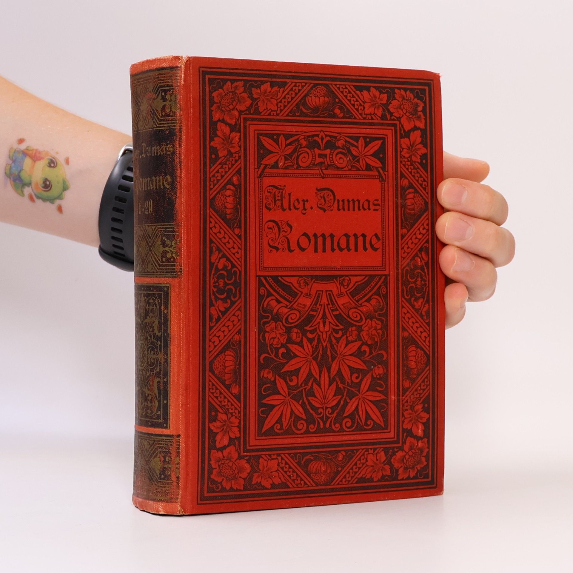 Alexandre Dumas der Ältere Alex. Dumas Romane 16.-20. Band