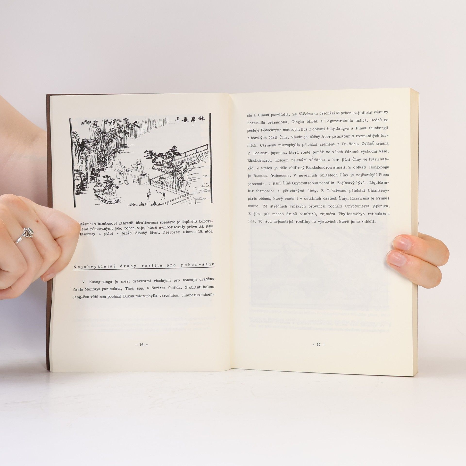 Věnceslava Hrdličková Bonsai. Miniaturní strom v misce. Katalog k výstavě bonsají 1988