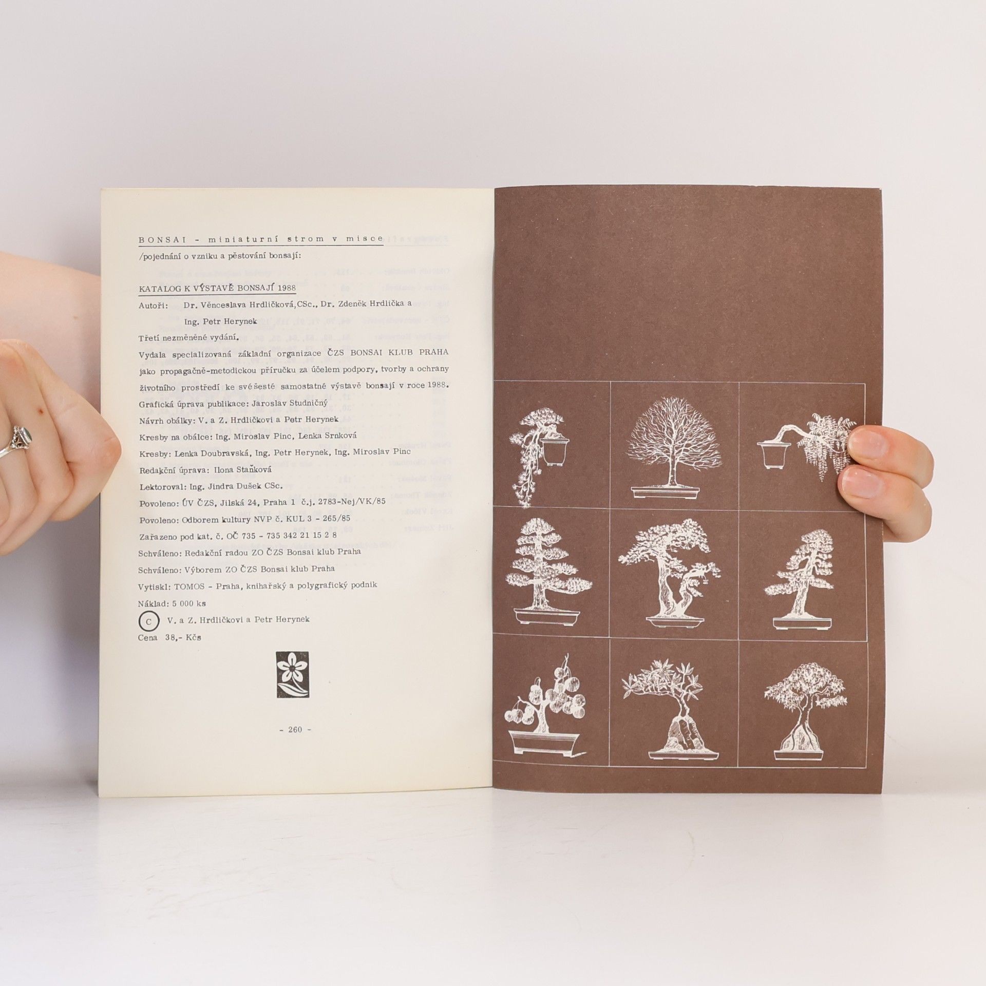 Věnceslava Hrdličková Bonsai. Miniaturní strom v misce. Katalog k výstavě bonsají 1988