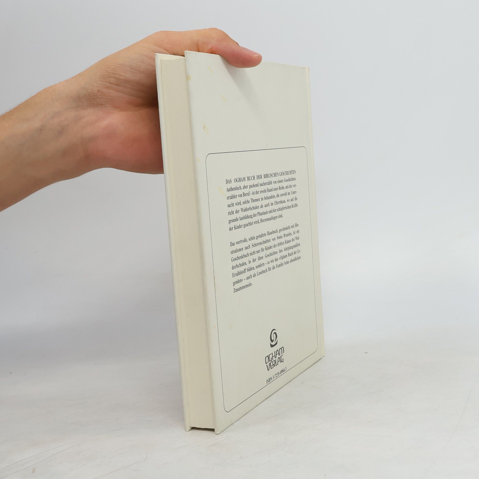Friedrich Balcke Das Ogham-Buch der biblischen Geschichten