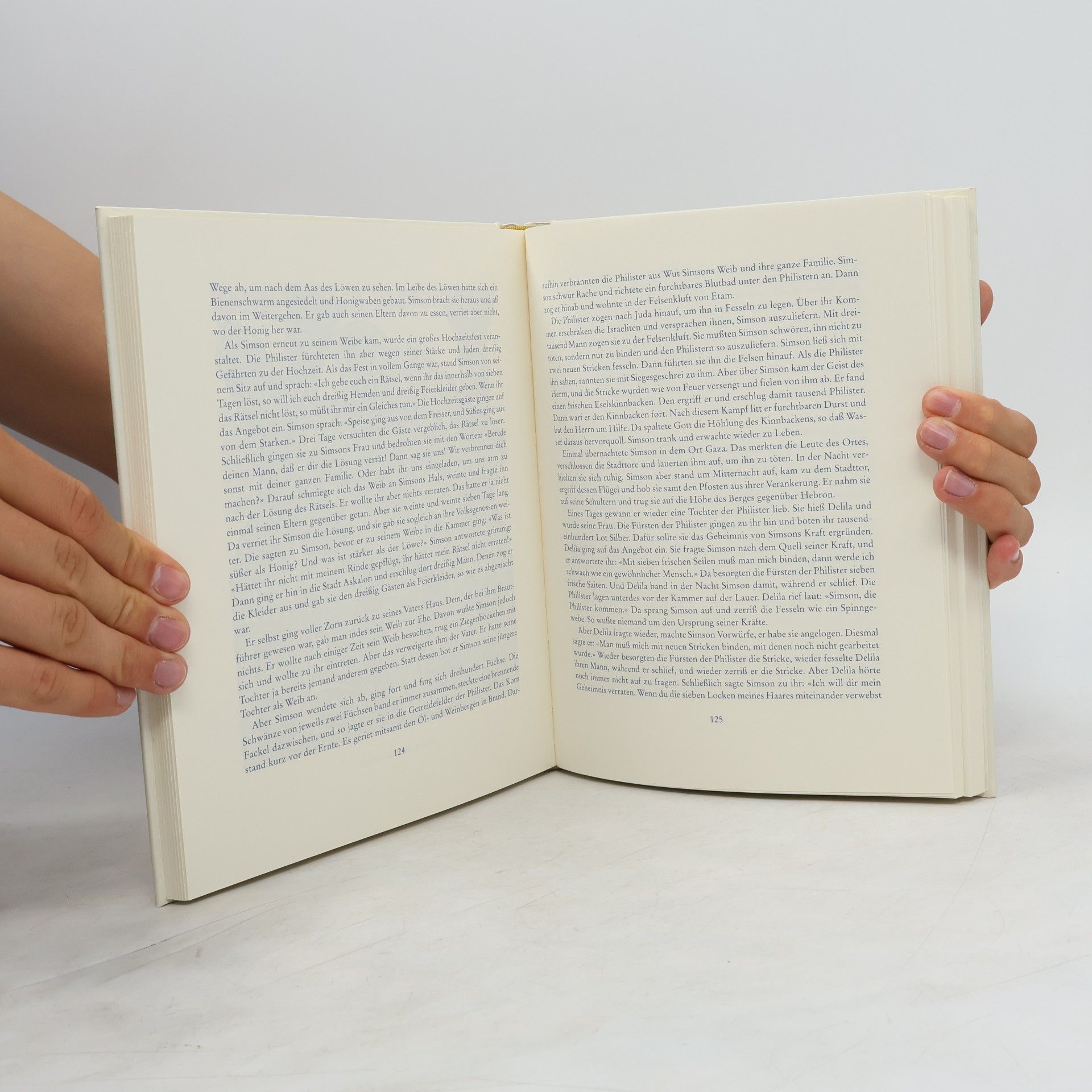 Friedrich Balcke Das Ogham-Buch der biblischen Geschichten