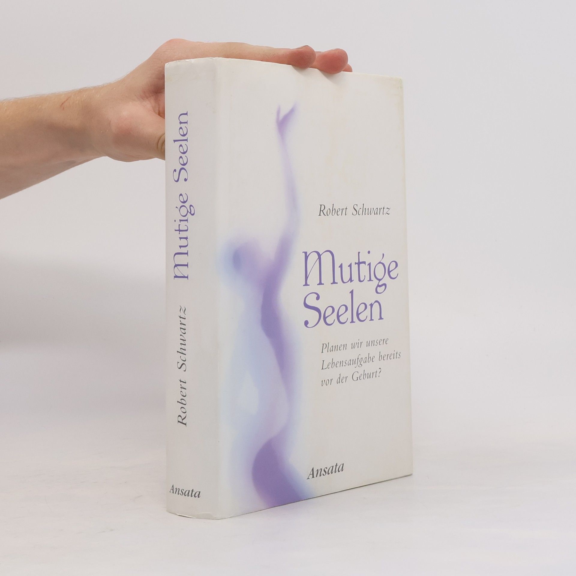 Robert Schwartz Mutige Seelen
