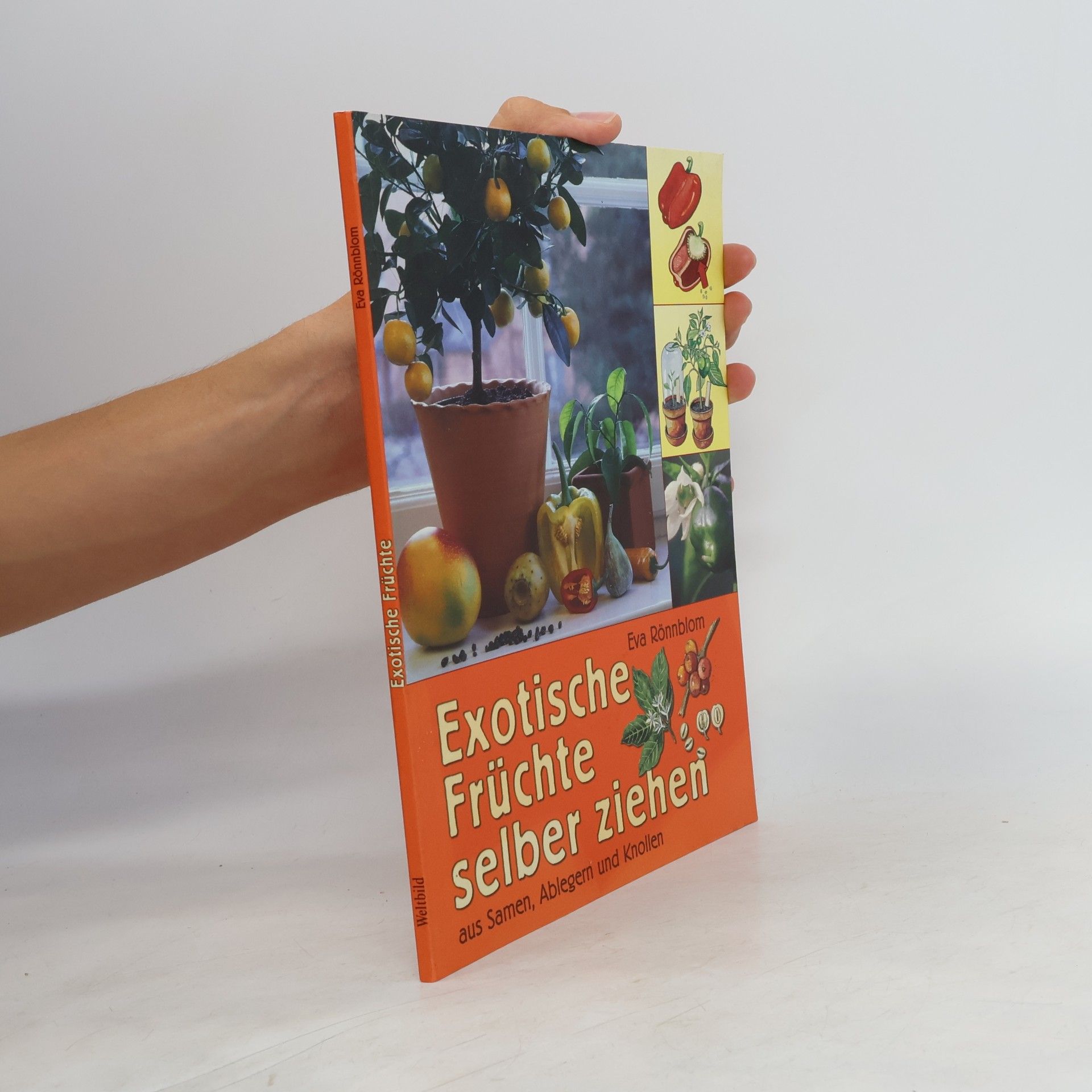 Eva Rönnblom Exotische Früchte selber ziehen aus Samen, Ablegern und Knollen