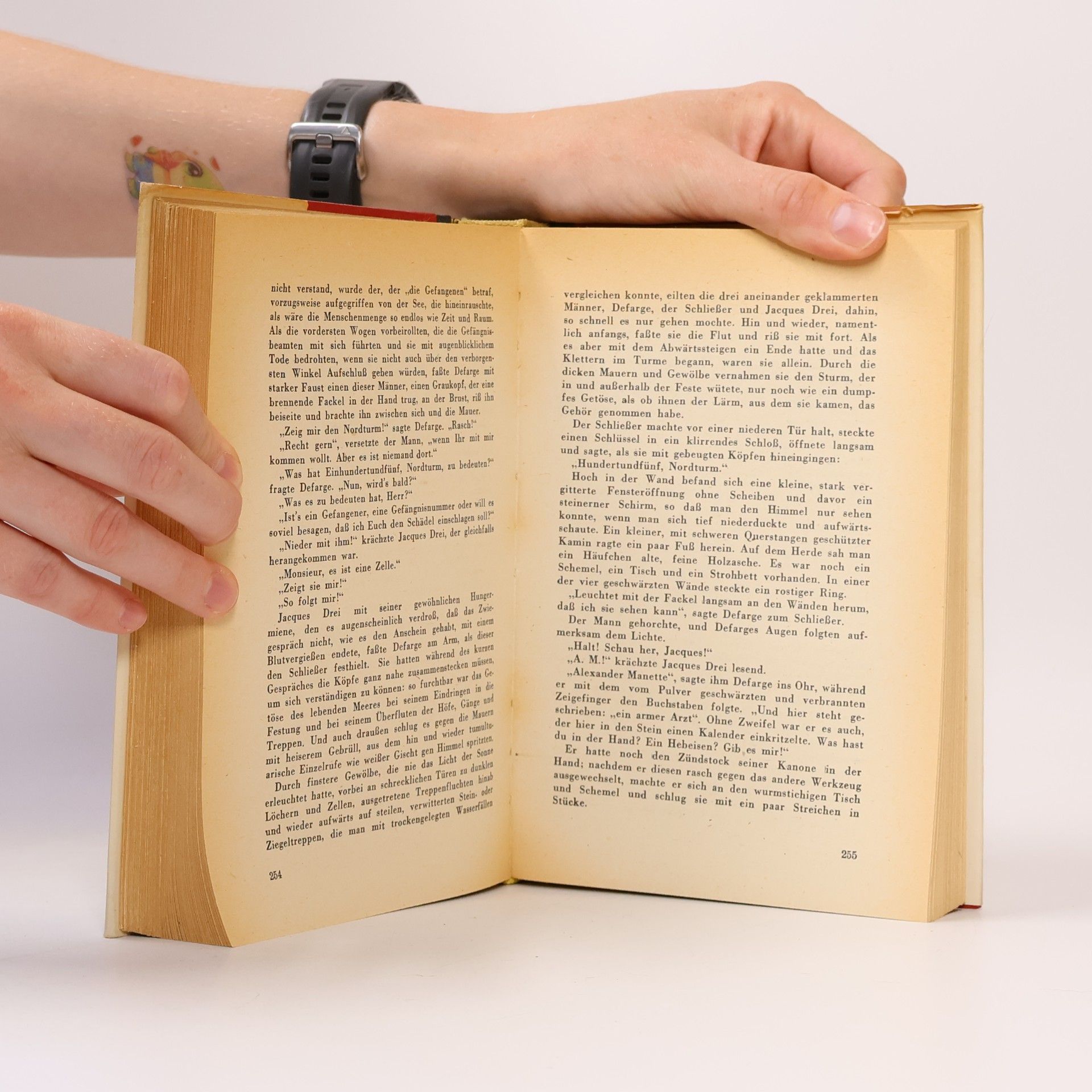 Charles Dickens Zwei Städte