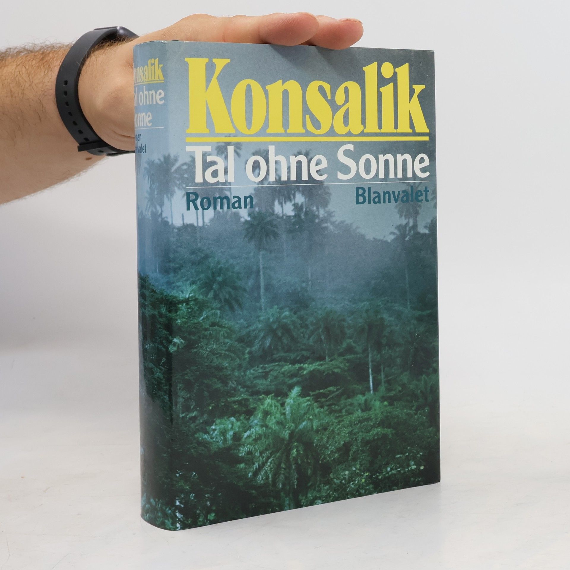 Heinz G. Konsalik Tal ohne Sonne