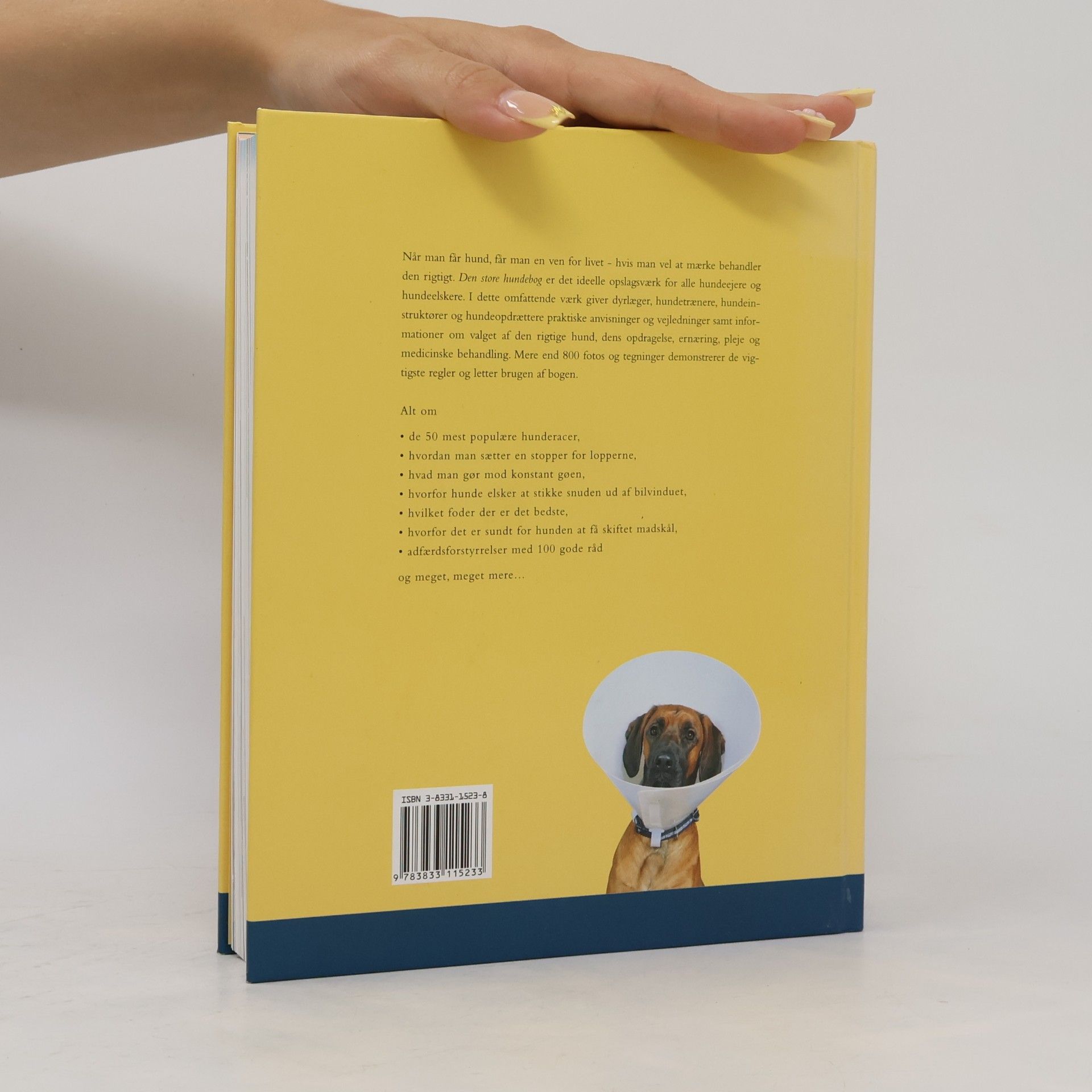 Collectif d'auteurs Den store hundebog