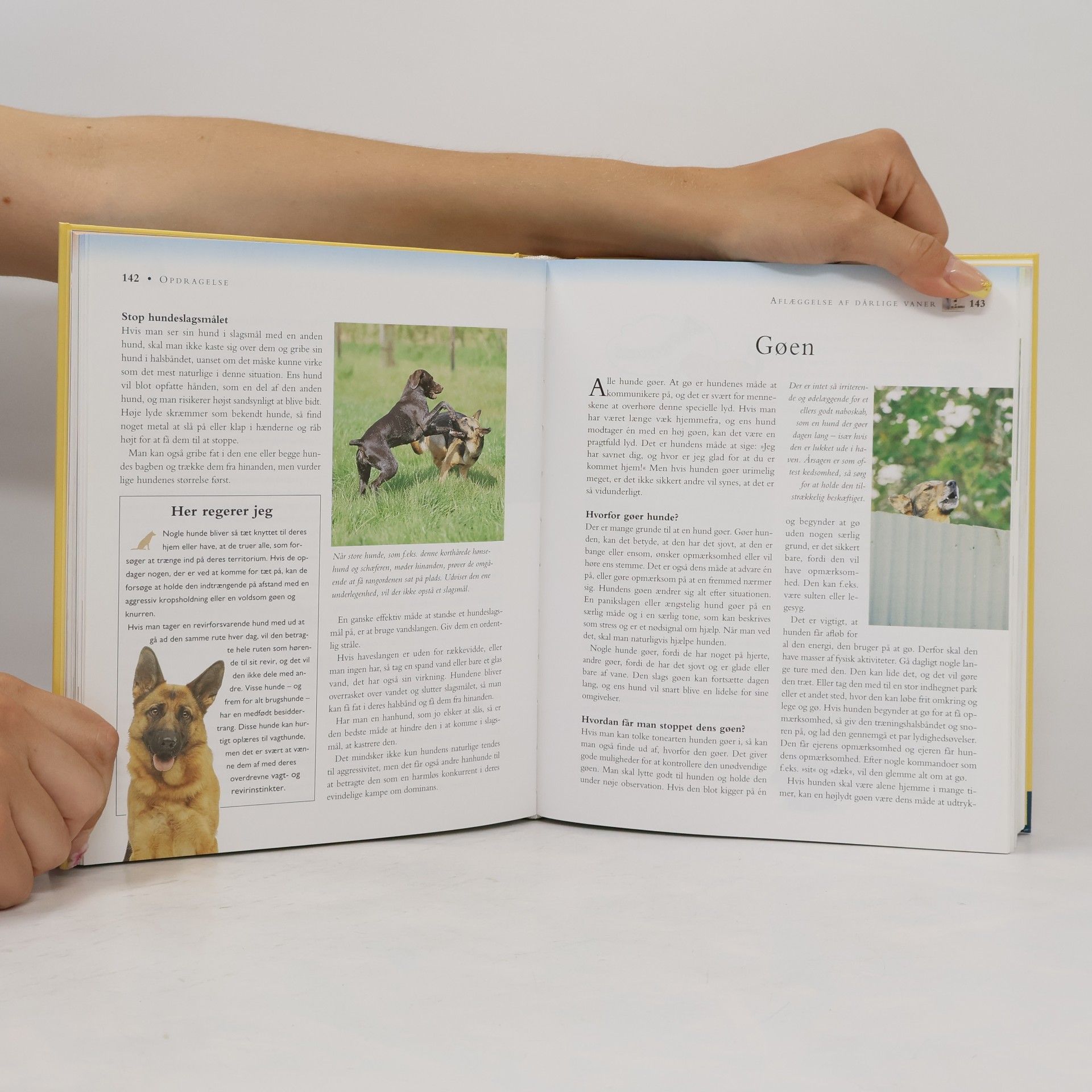 Collectif d'auteurs Den store hundebog