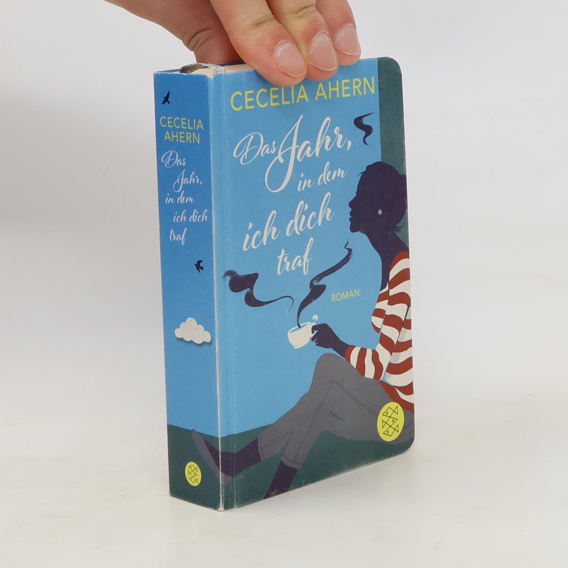 Cecelia Ahern Das Jahr, in dem ich dich traf