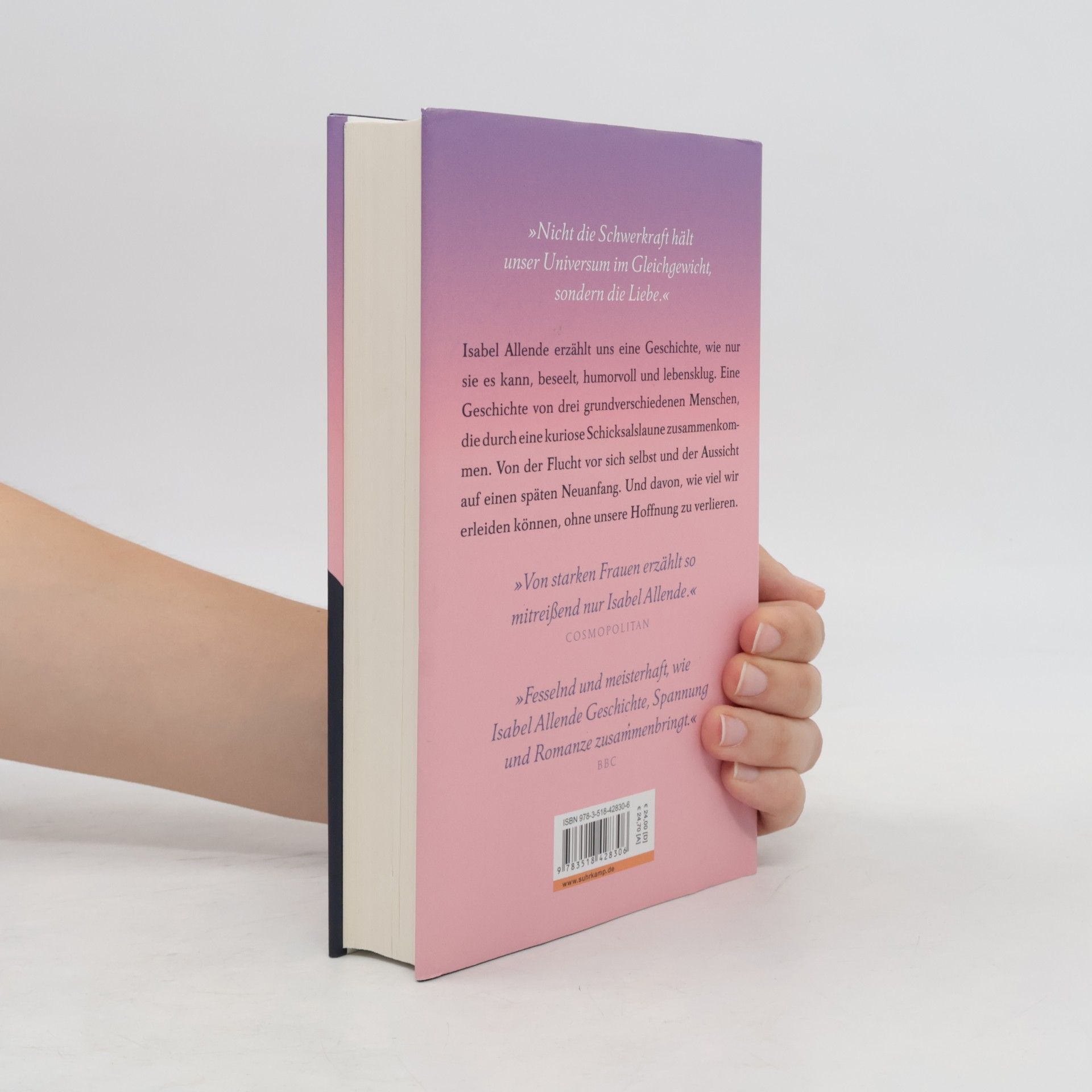 Isabel Allende Ein unvergänglicher Sommer