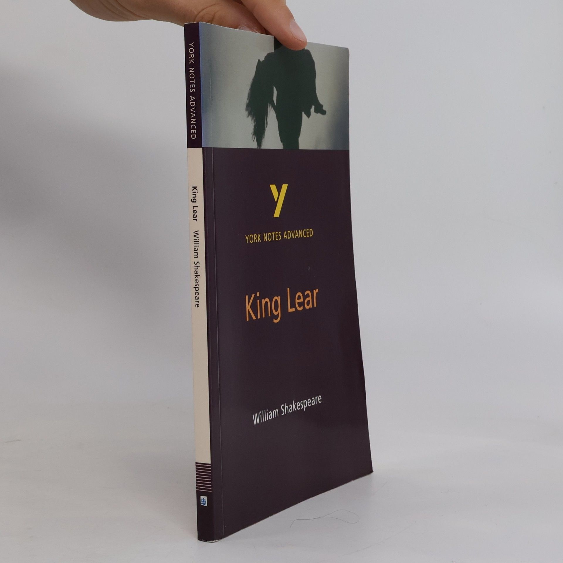 Rebecca Warren York Notes Advanced on King Lear by William Shakespeare